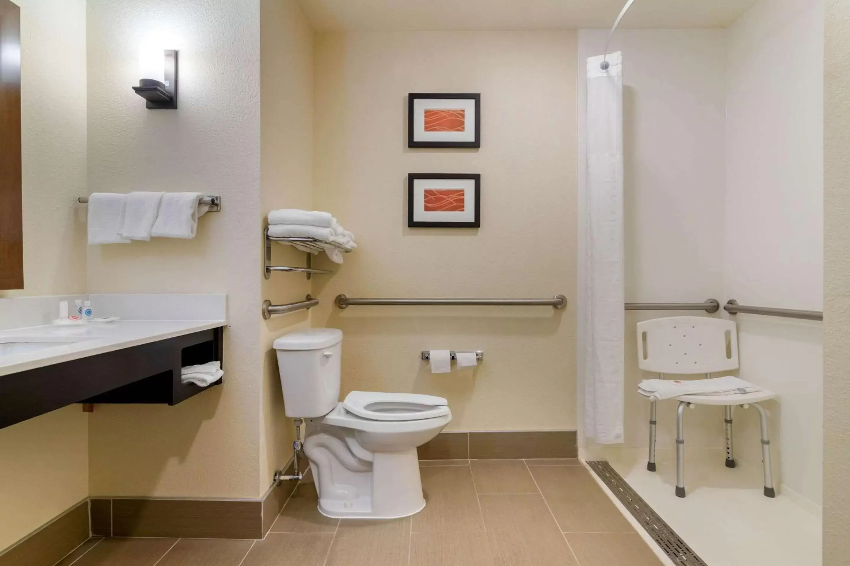 Bathroom in Comfort Inn & Suites Macon West