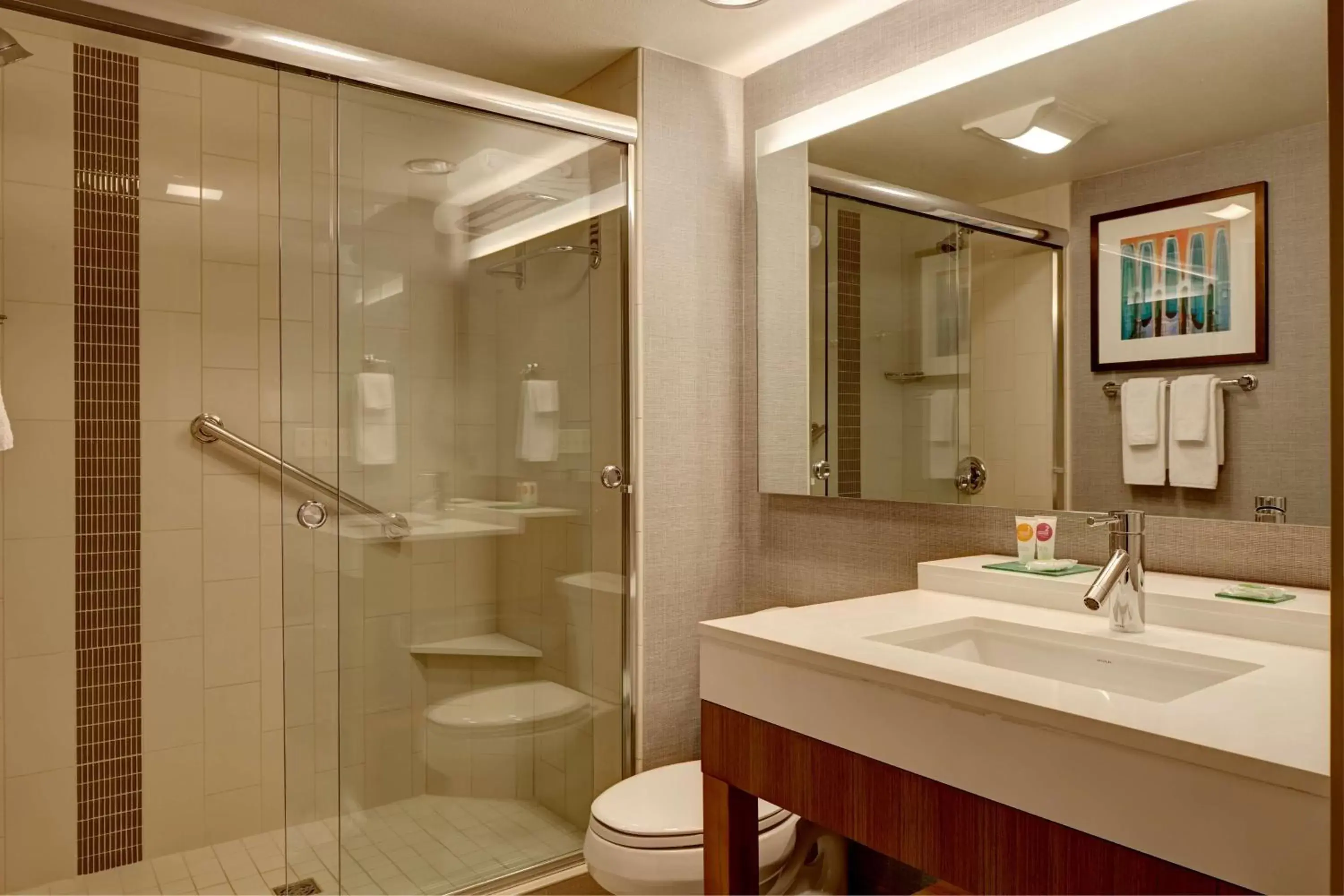 Bathroom in Hyatt Place Sarasota/Lakewood Ranch