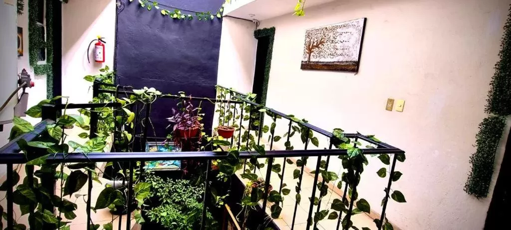 MINI HOTEL San Luis Potosí