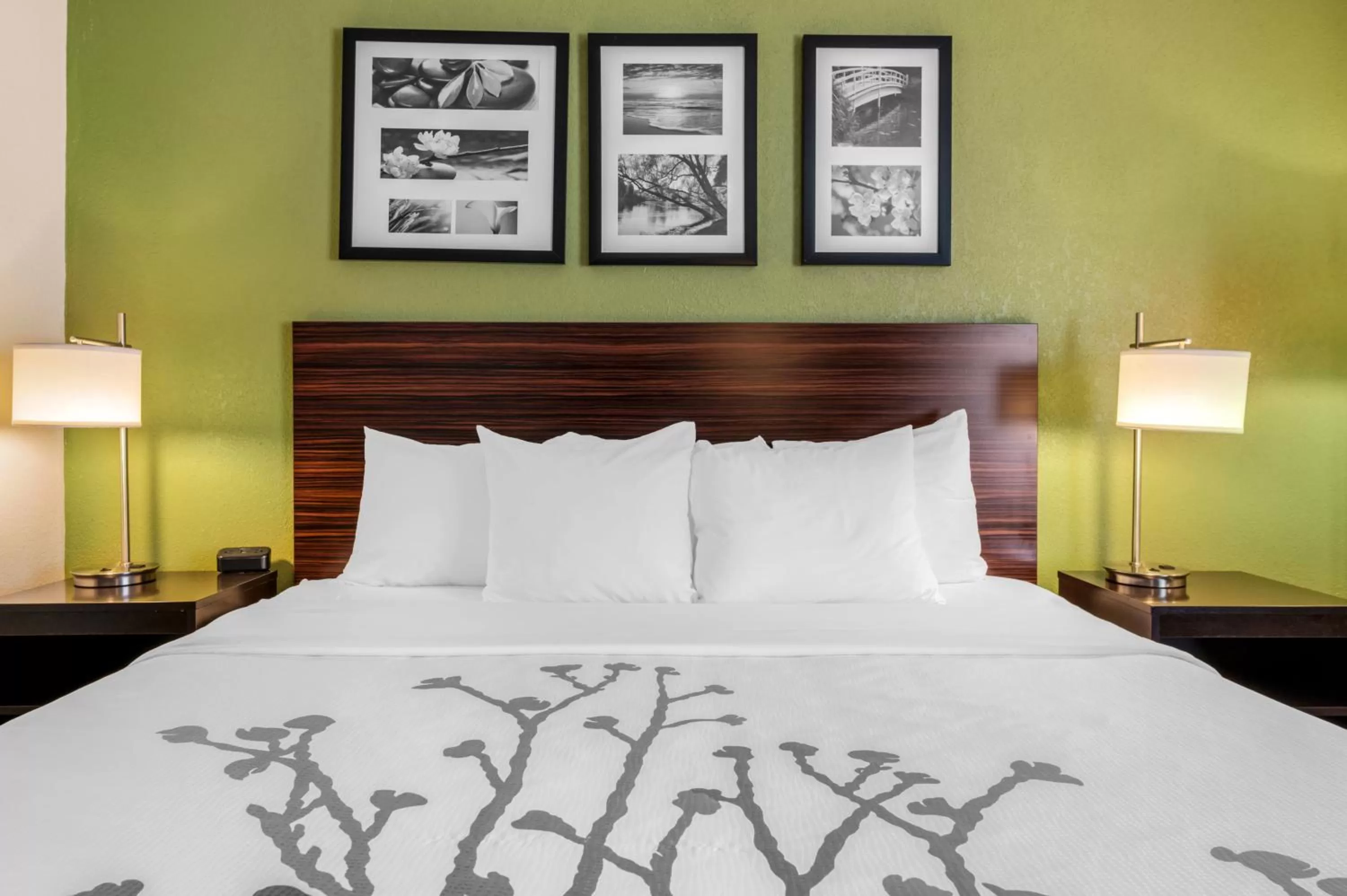 Bedroom, Bed in Sleep Inn Naperville - Chicago