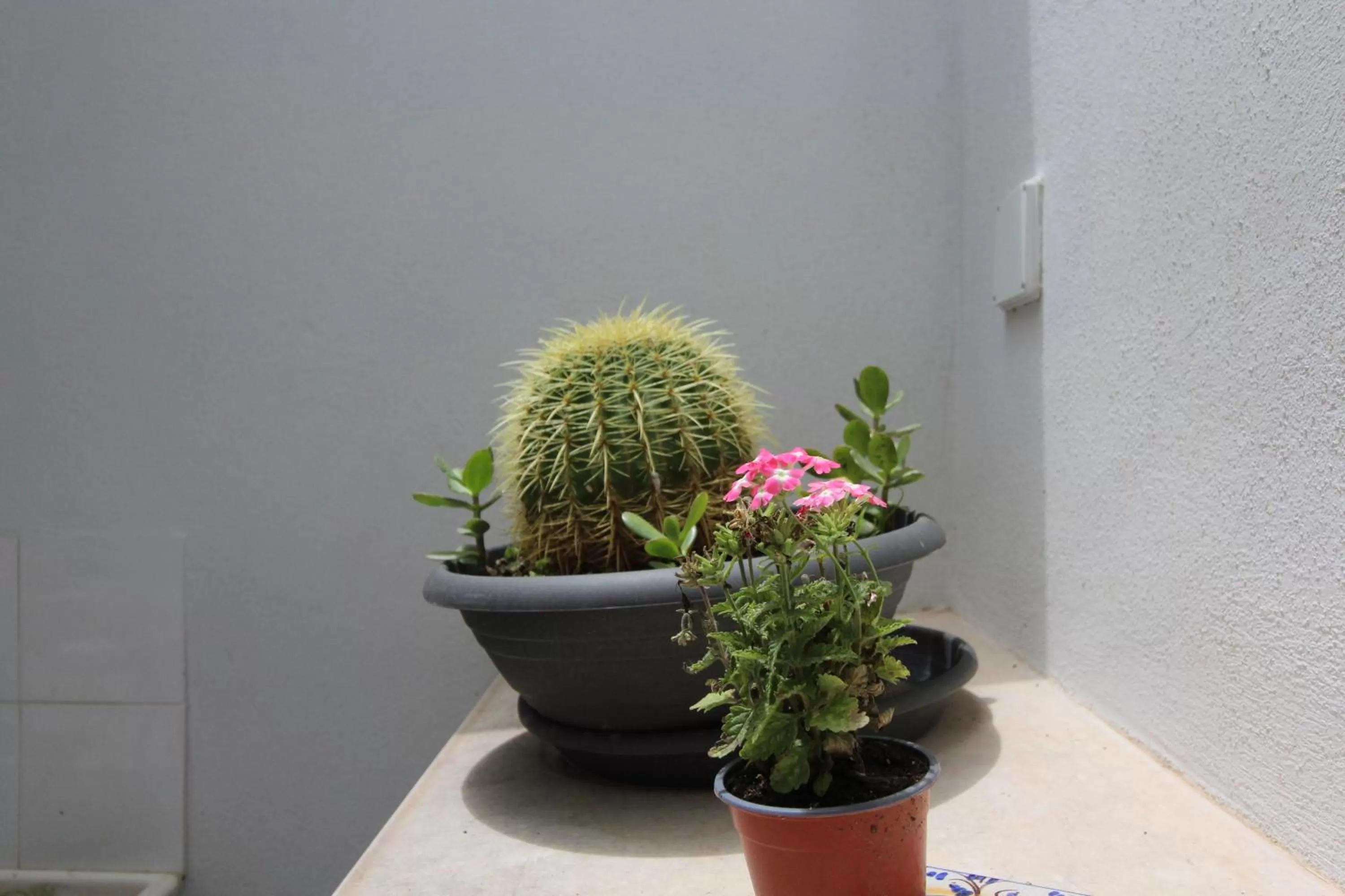 Floor plan in BED & BREAKFAST VAL di ERICE