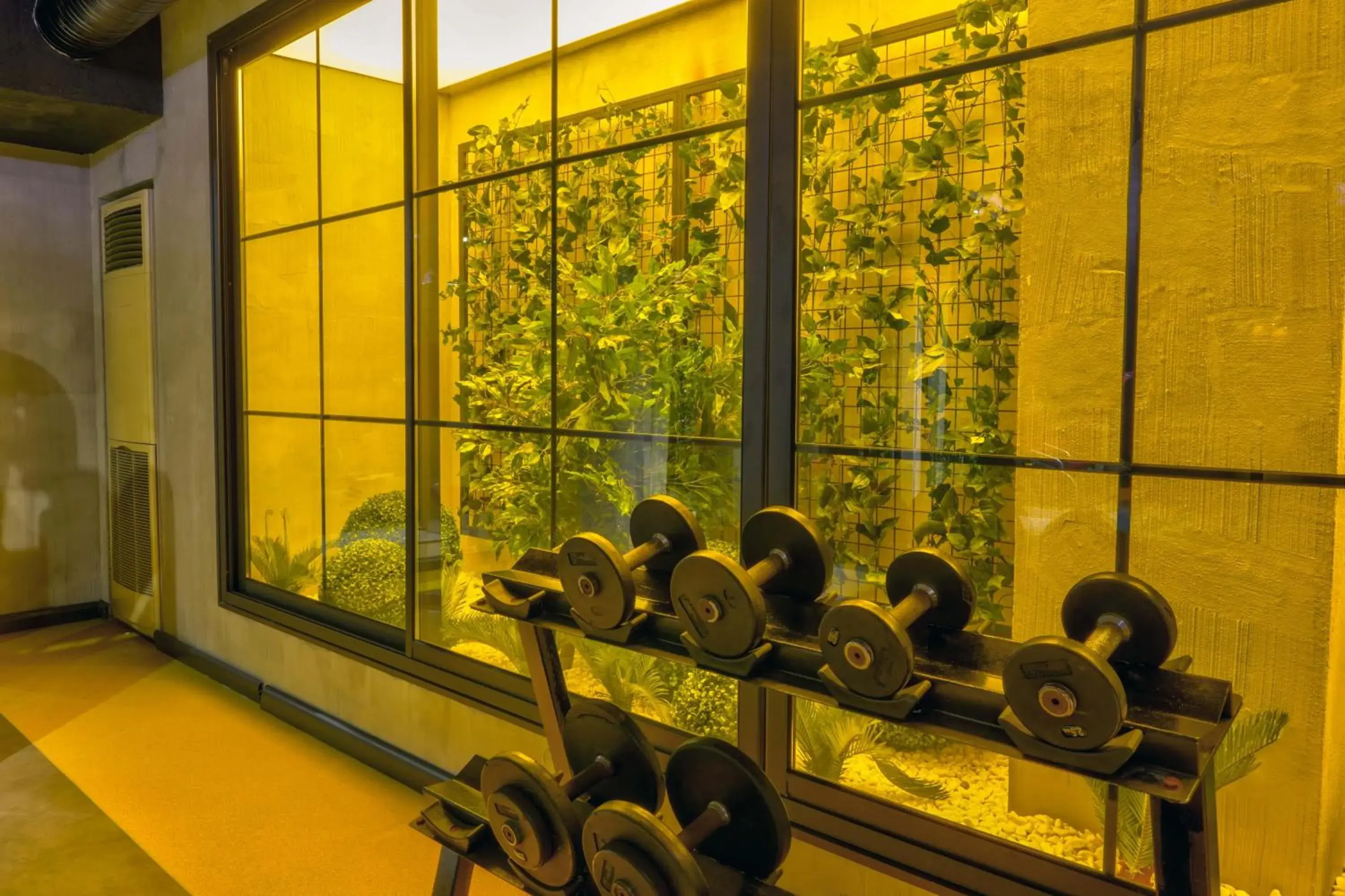 Fitness centre/facilities in Tac Premier Hotel & Spa Fitness centre/facilities in Tac Premier Hotel & Spa