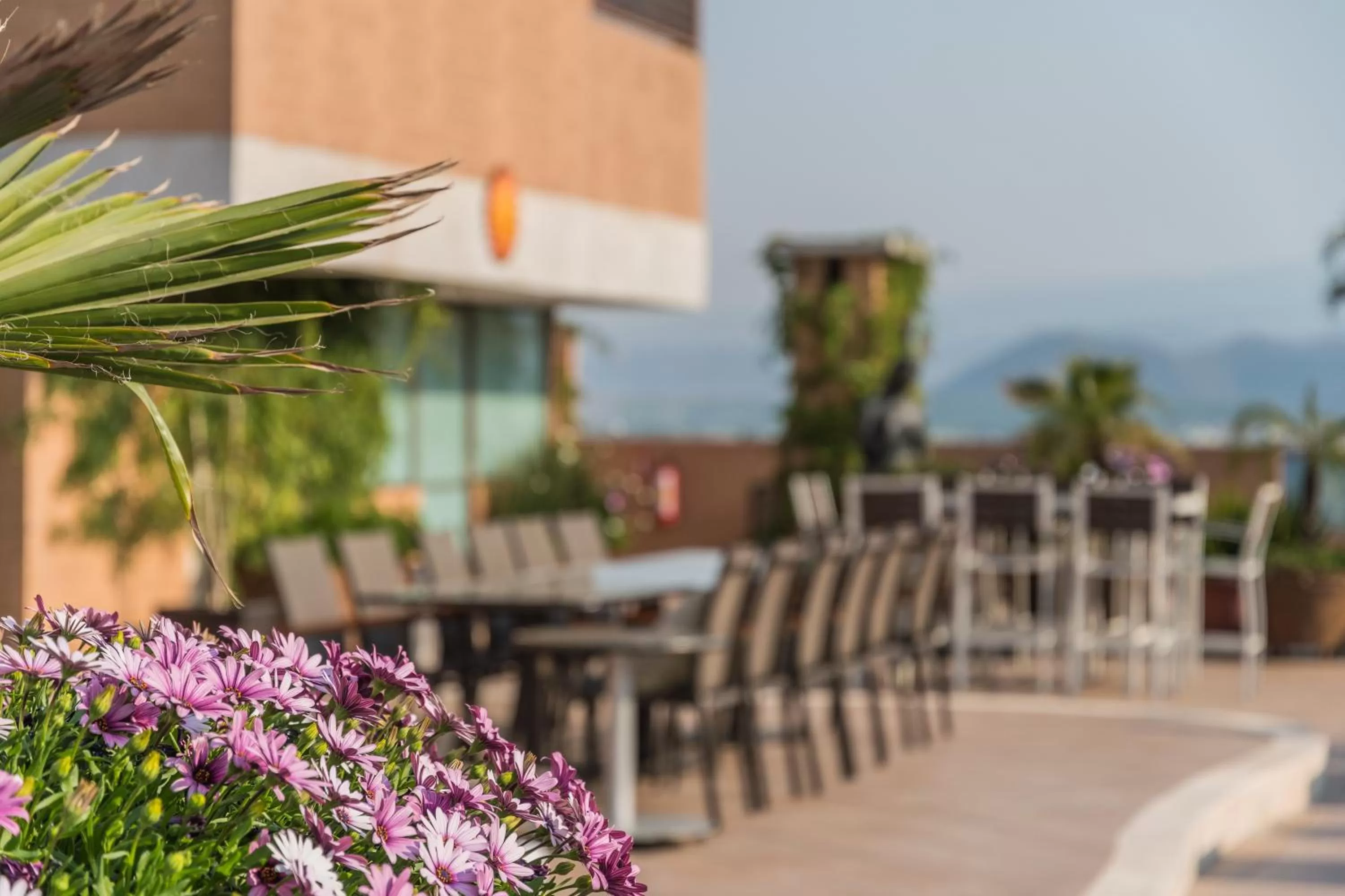 Balcony/Terrace in Suites Perisur Apartamentos Amueblados