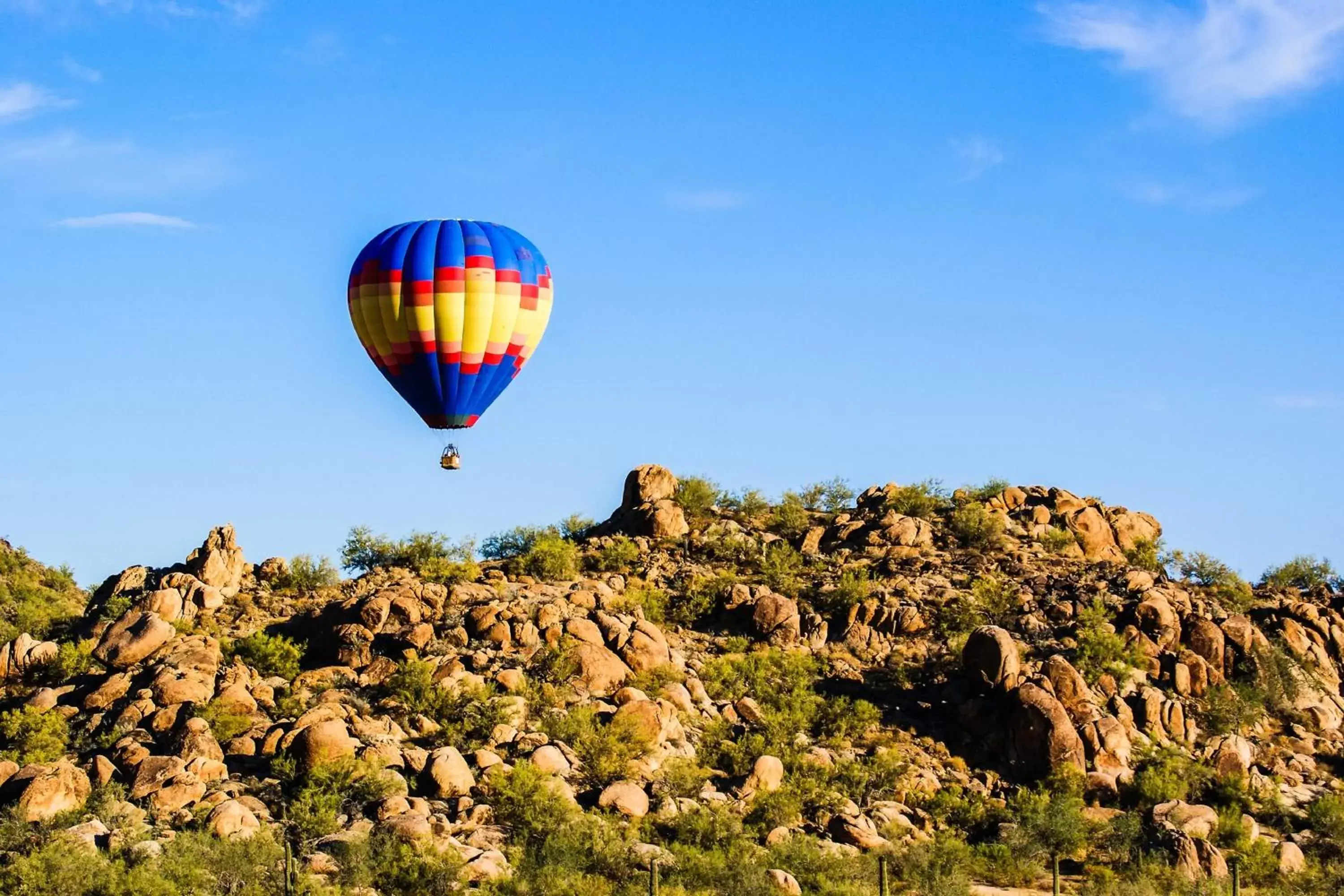 Natural landscape in Aloft Scottsdale