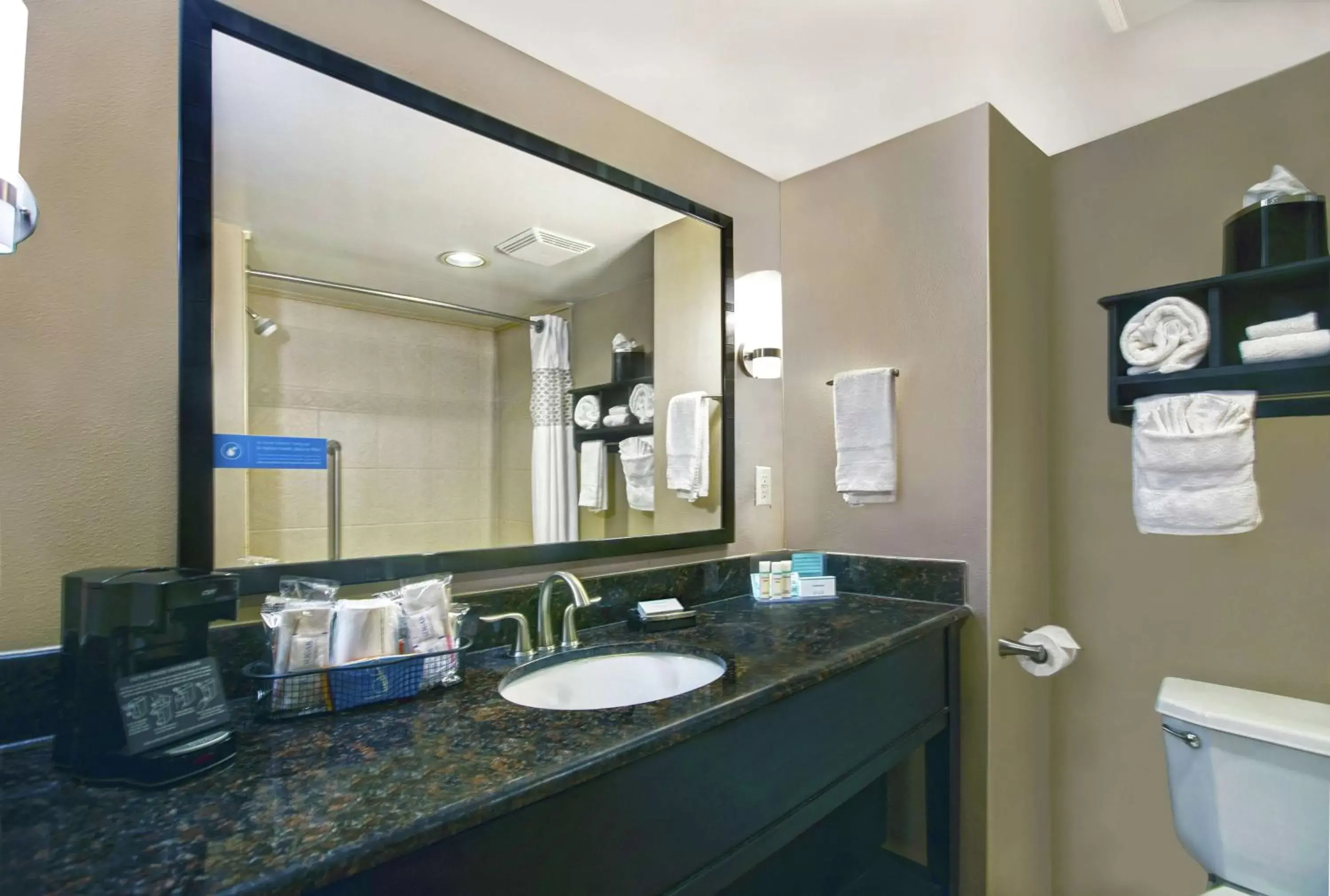 Bathroom in Hampton Inn Biloxi Beach Boulevard