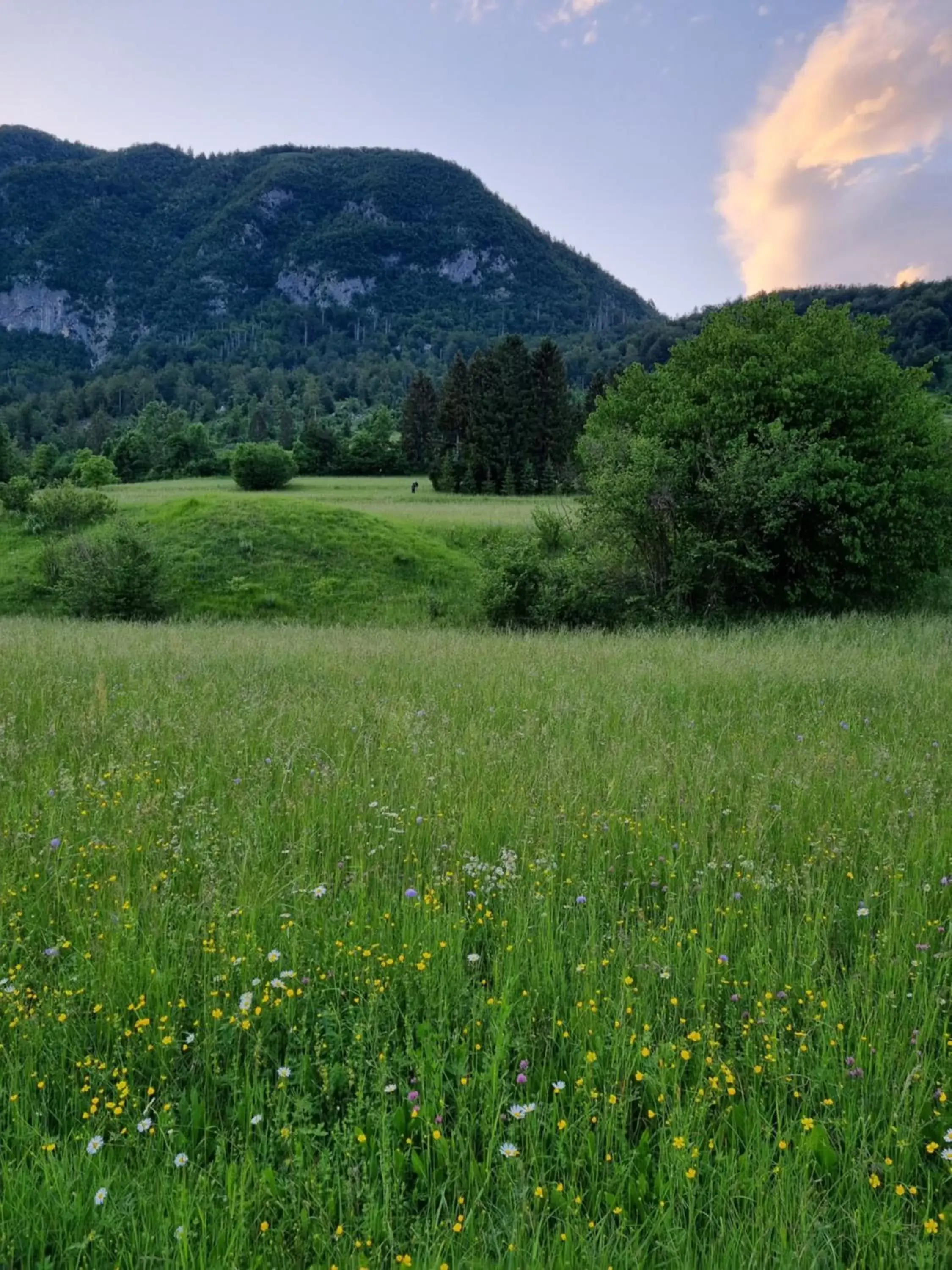 Natural Landscape in Art Hotel Kristal