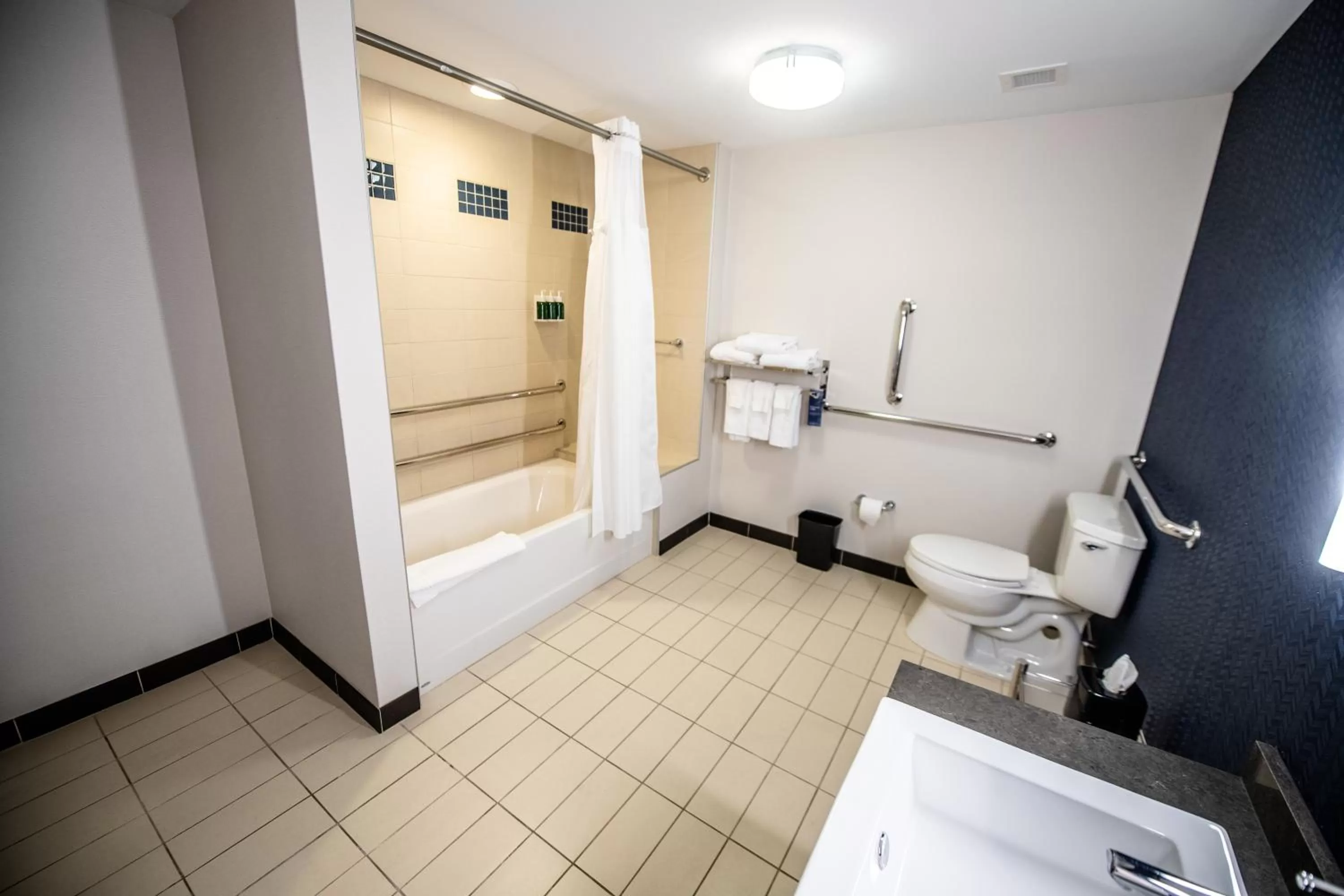 1 Bedroom Suite, 1 King, Sofa bed in Fairfield by Marriott Inn & Suites Washington Casino Area