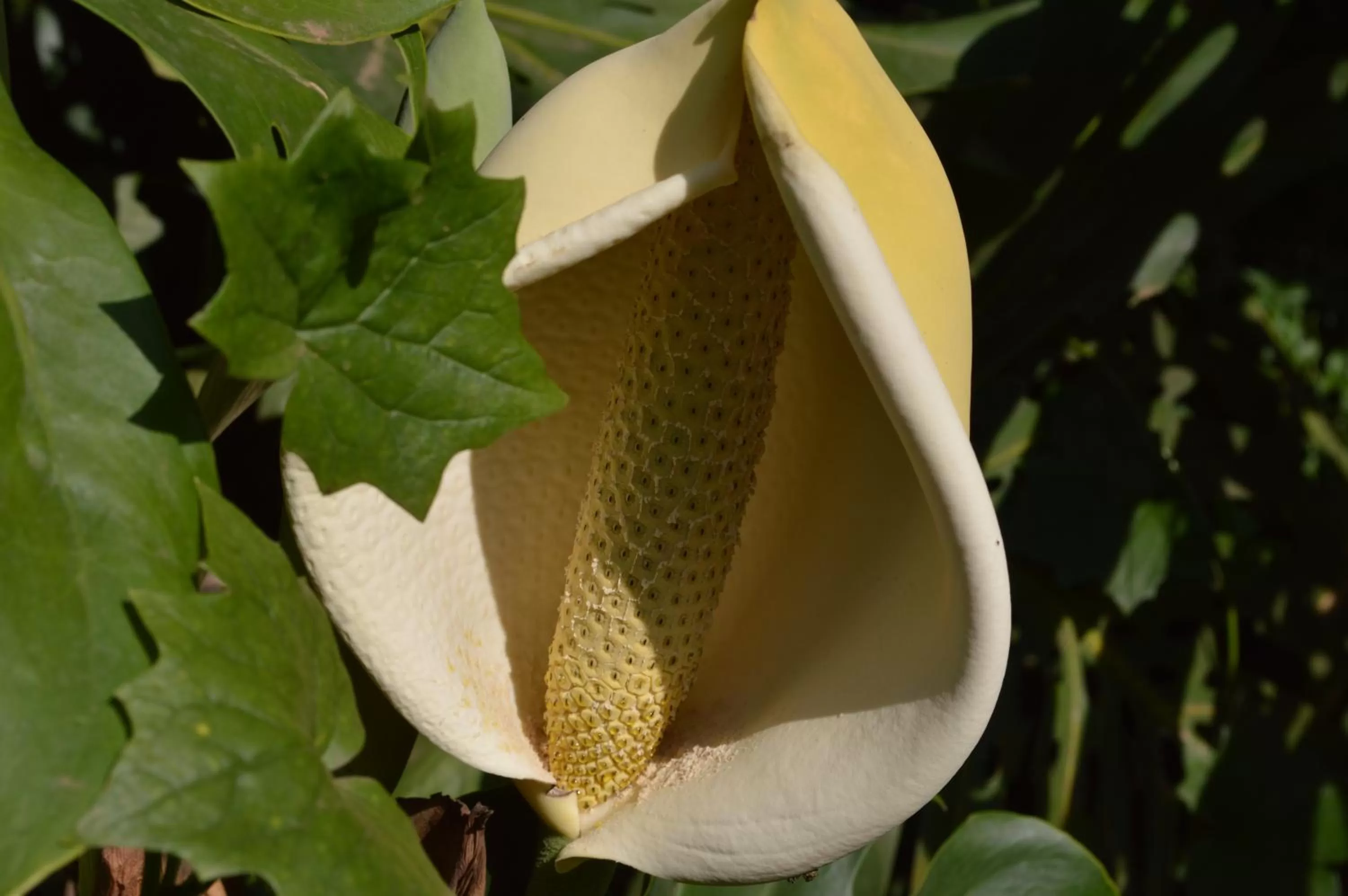 The Researchers Rest