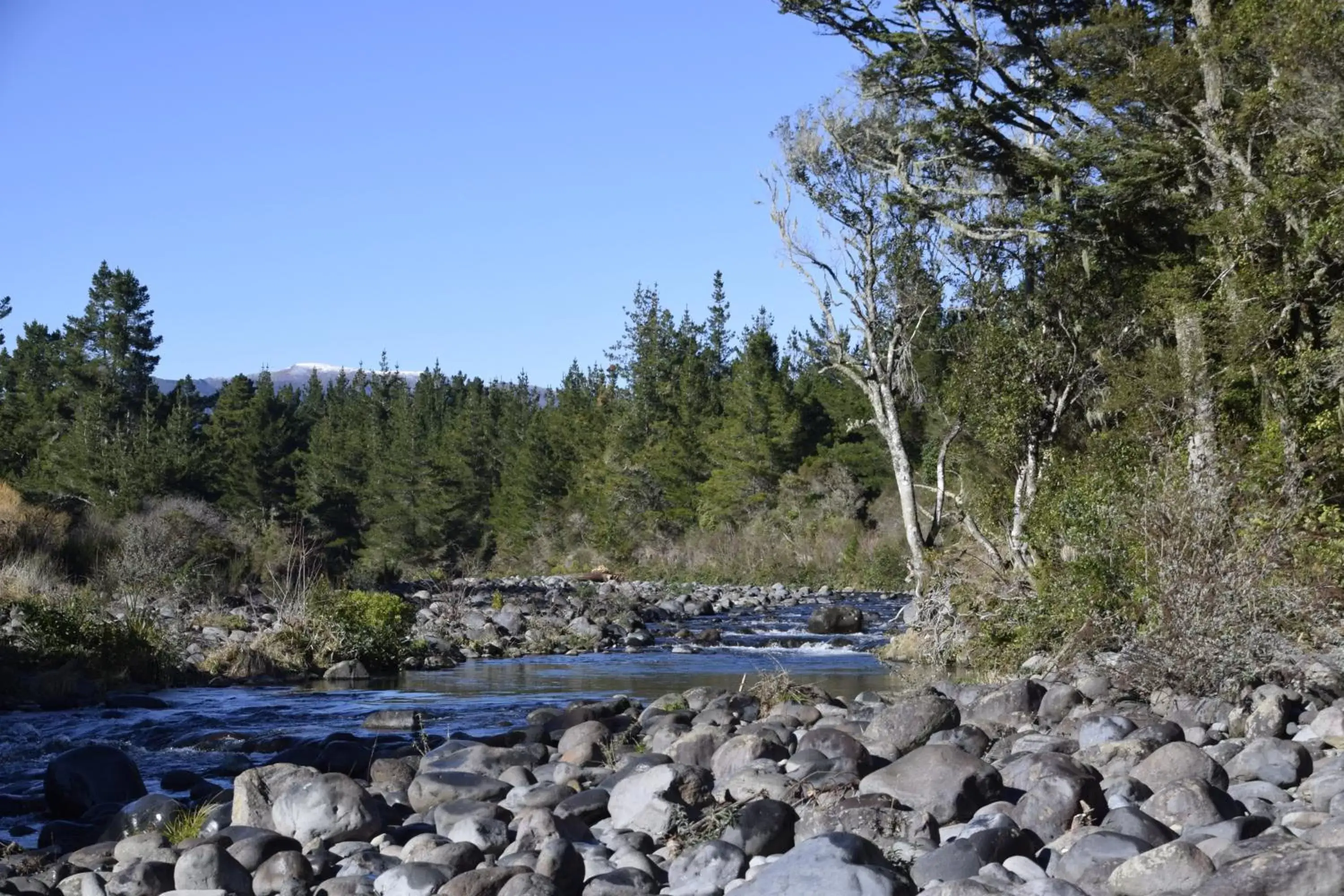 Area and facilities in Judges Pool Motel Turangi