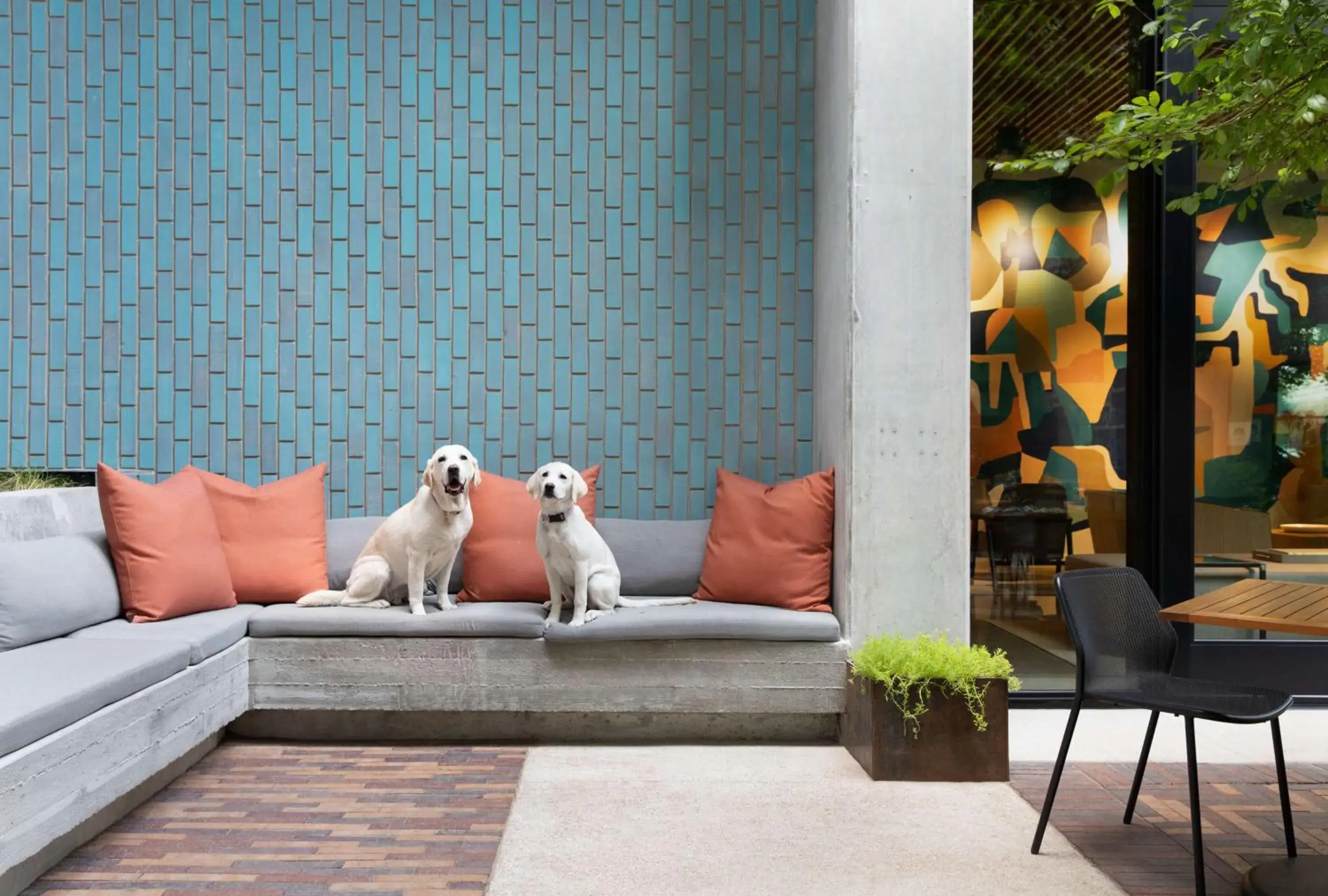 Patio, Pets in Canopy By Hilton Austin Downtown