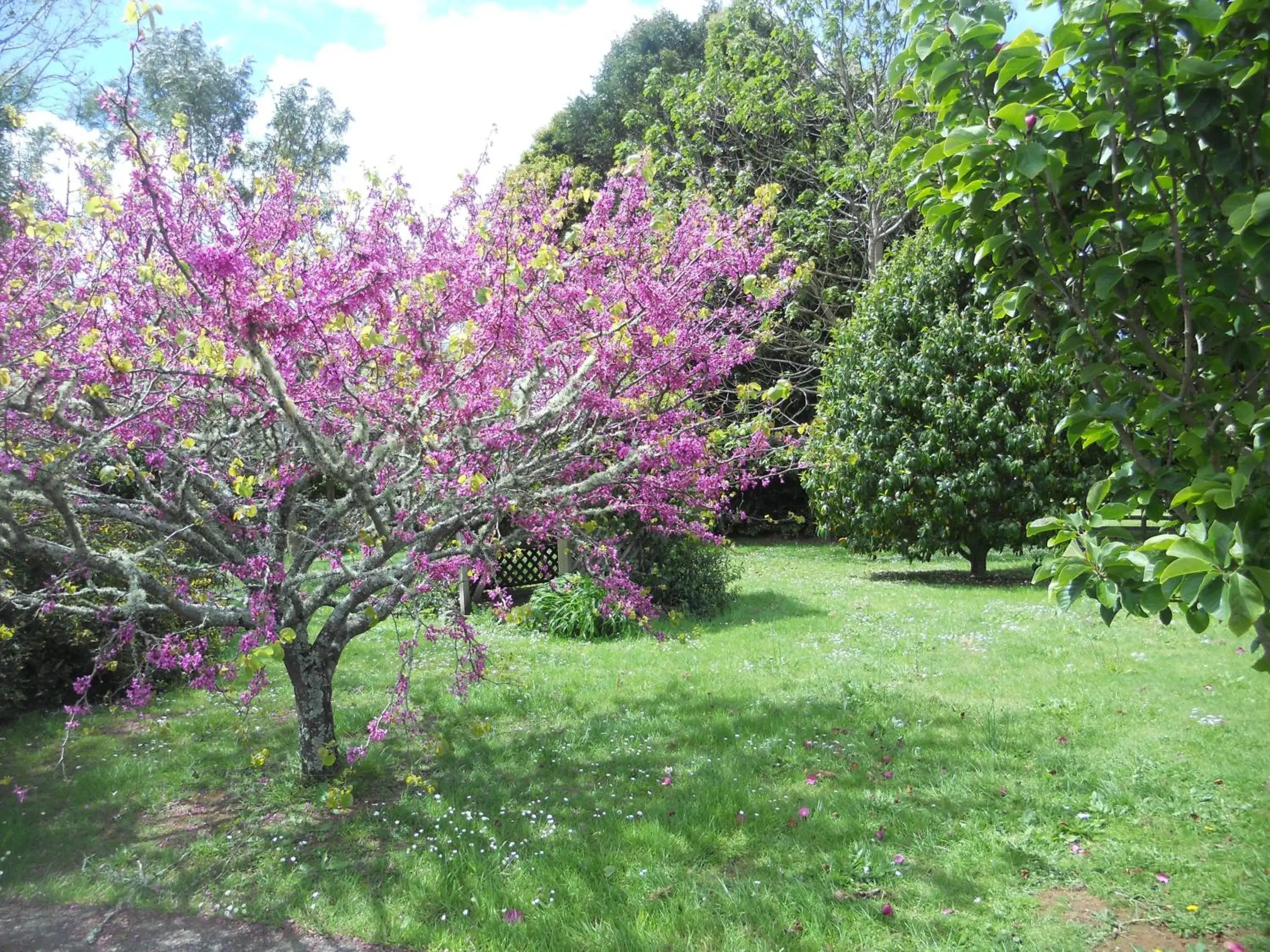 Garden in Lupton Lodge