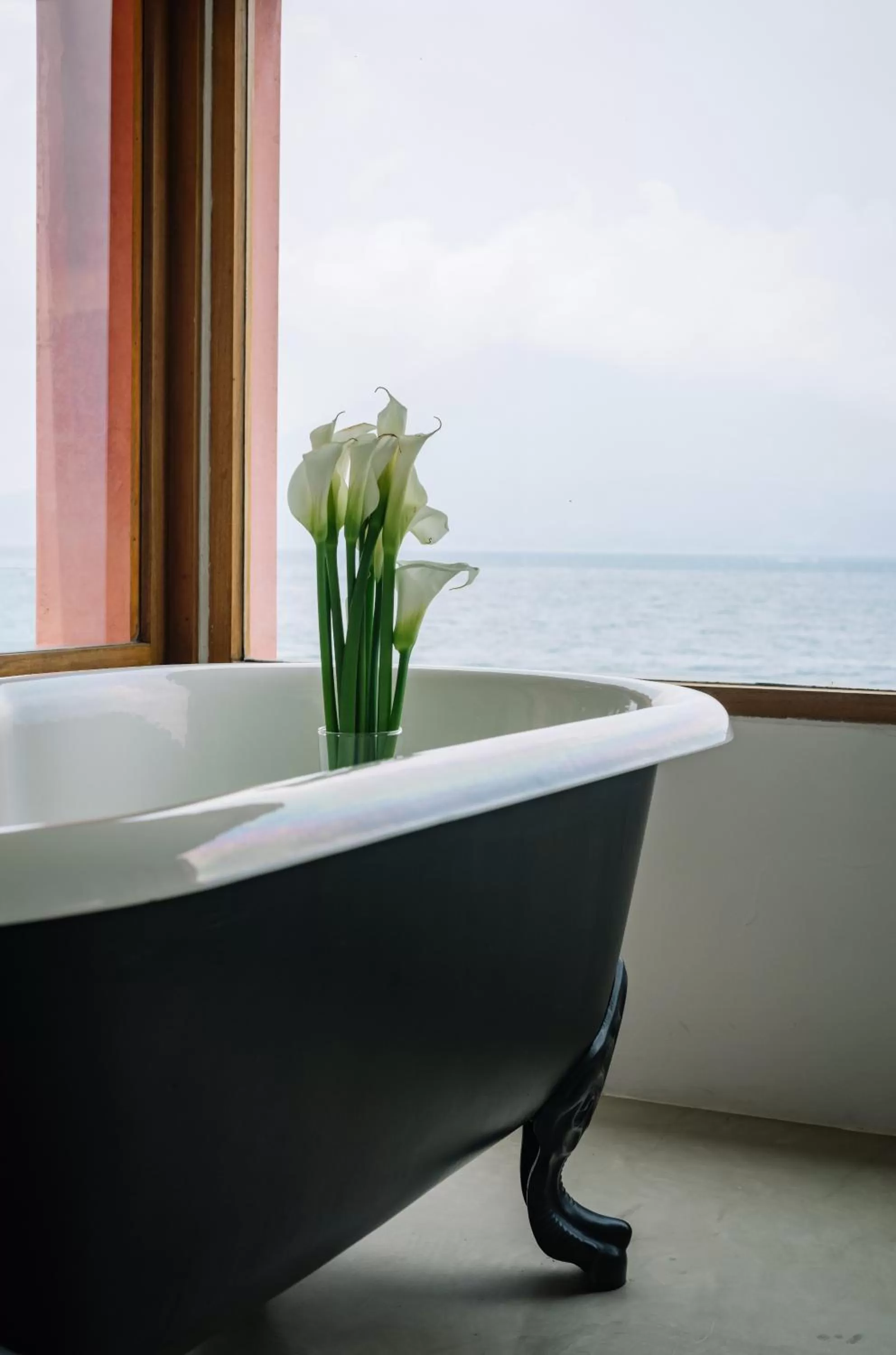 Natural landscape in Anzan Atitlan