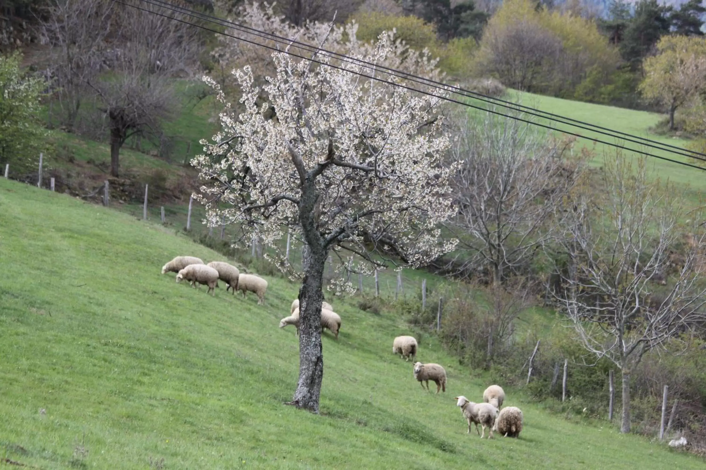 Natural landscape in La Bastide de Fontaille