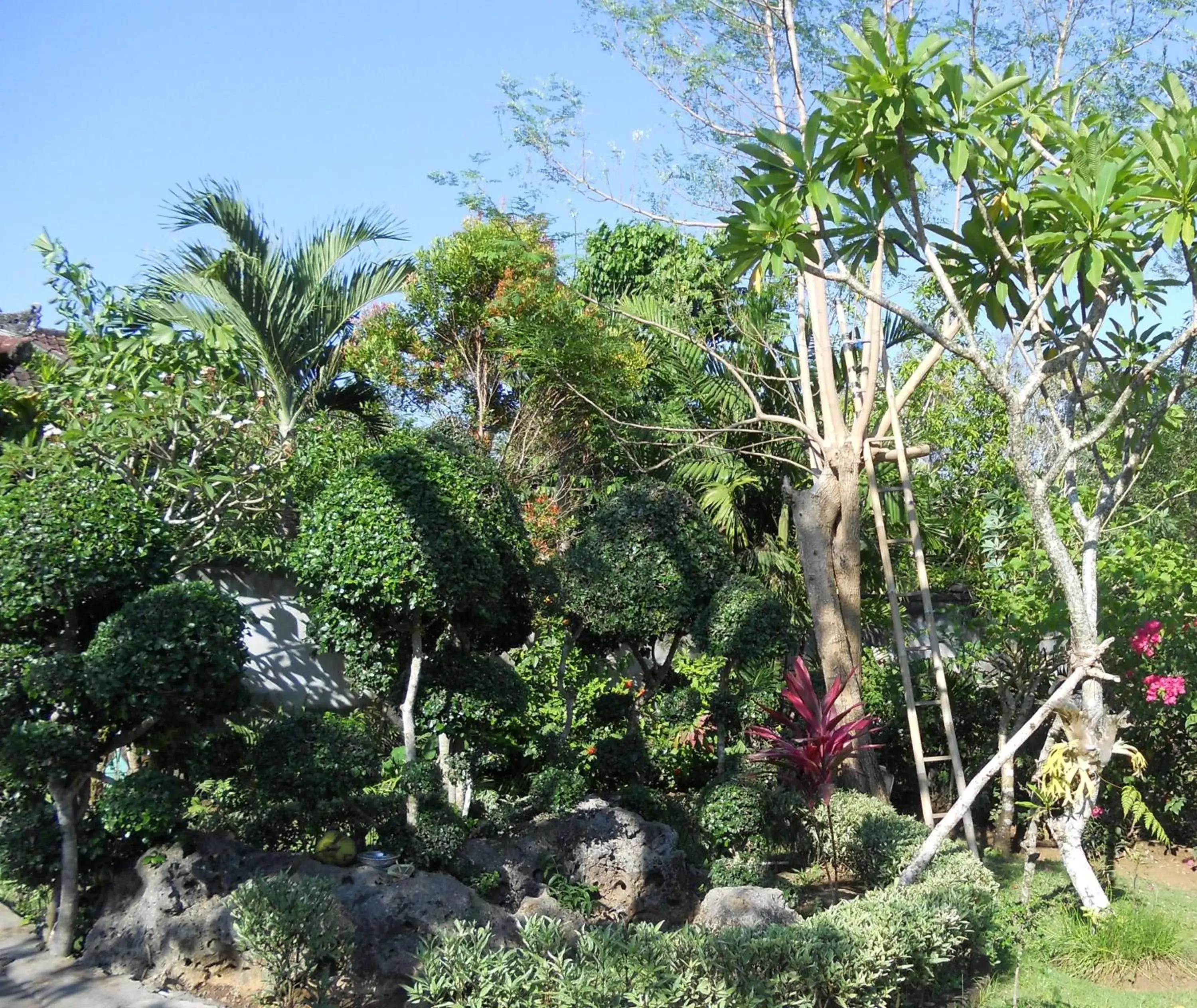 Garden view, Garden in Avisara Villa & Suite