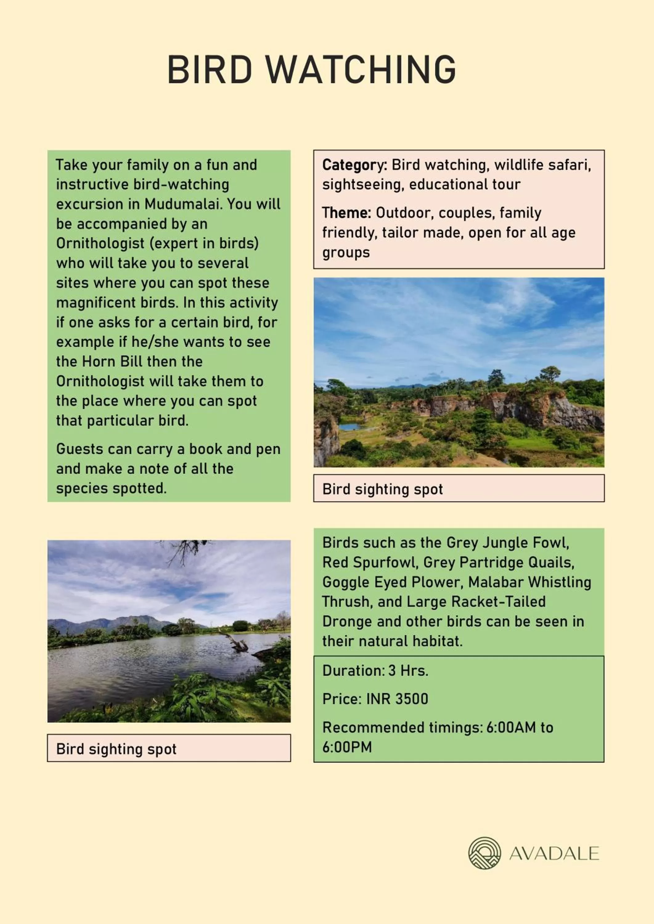 Activities in Avadale Masinagudi - Stag Groups Not Allowed