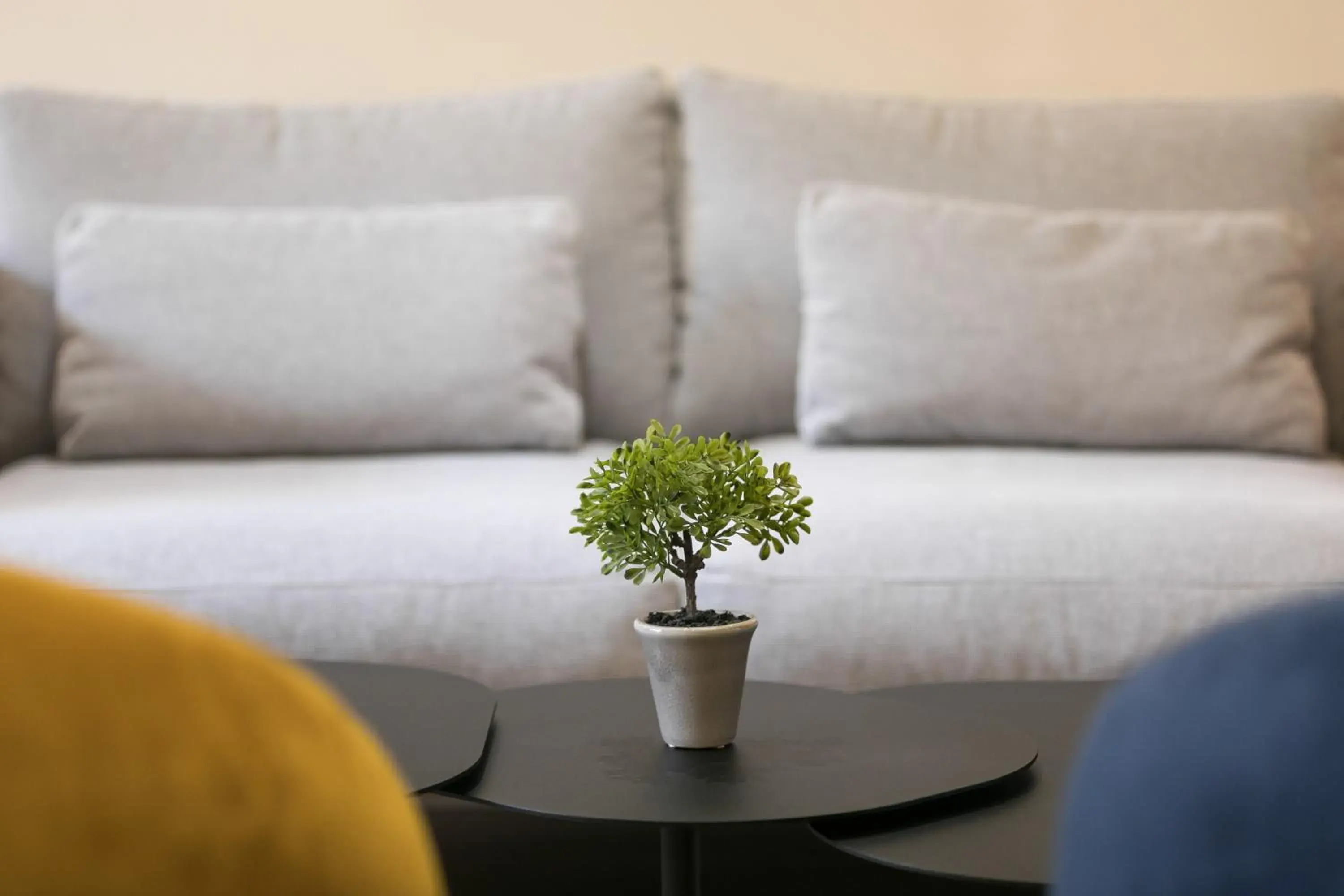 Decorative detail, Seating Area in Hôtel Innes by HappyCulture