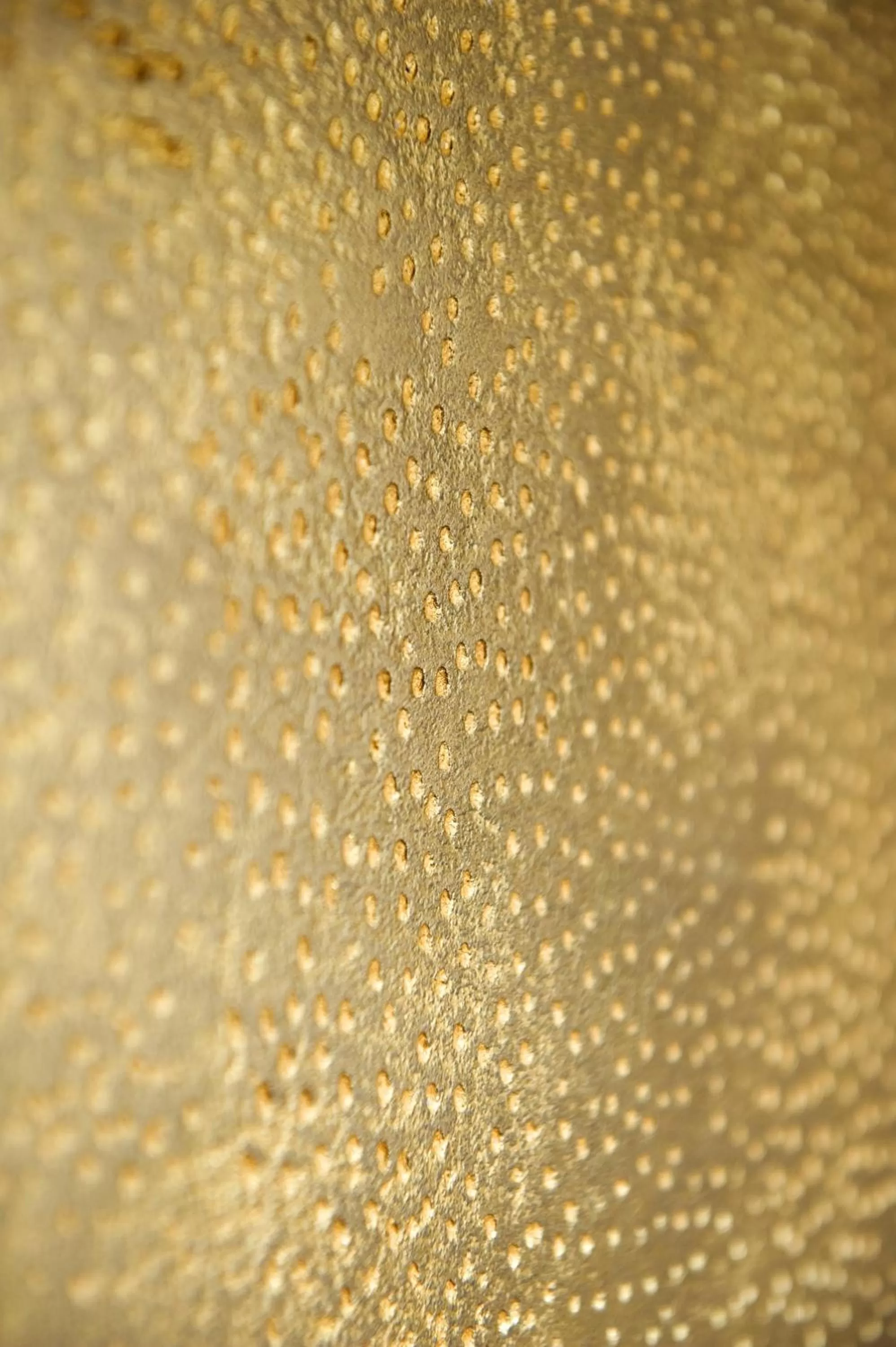 Decorative detail in Hôtel Le Rohan, centre Cathédrale