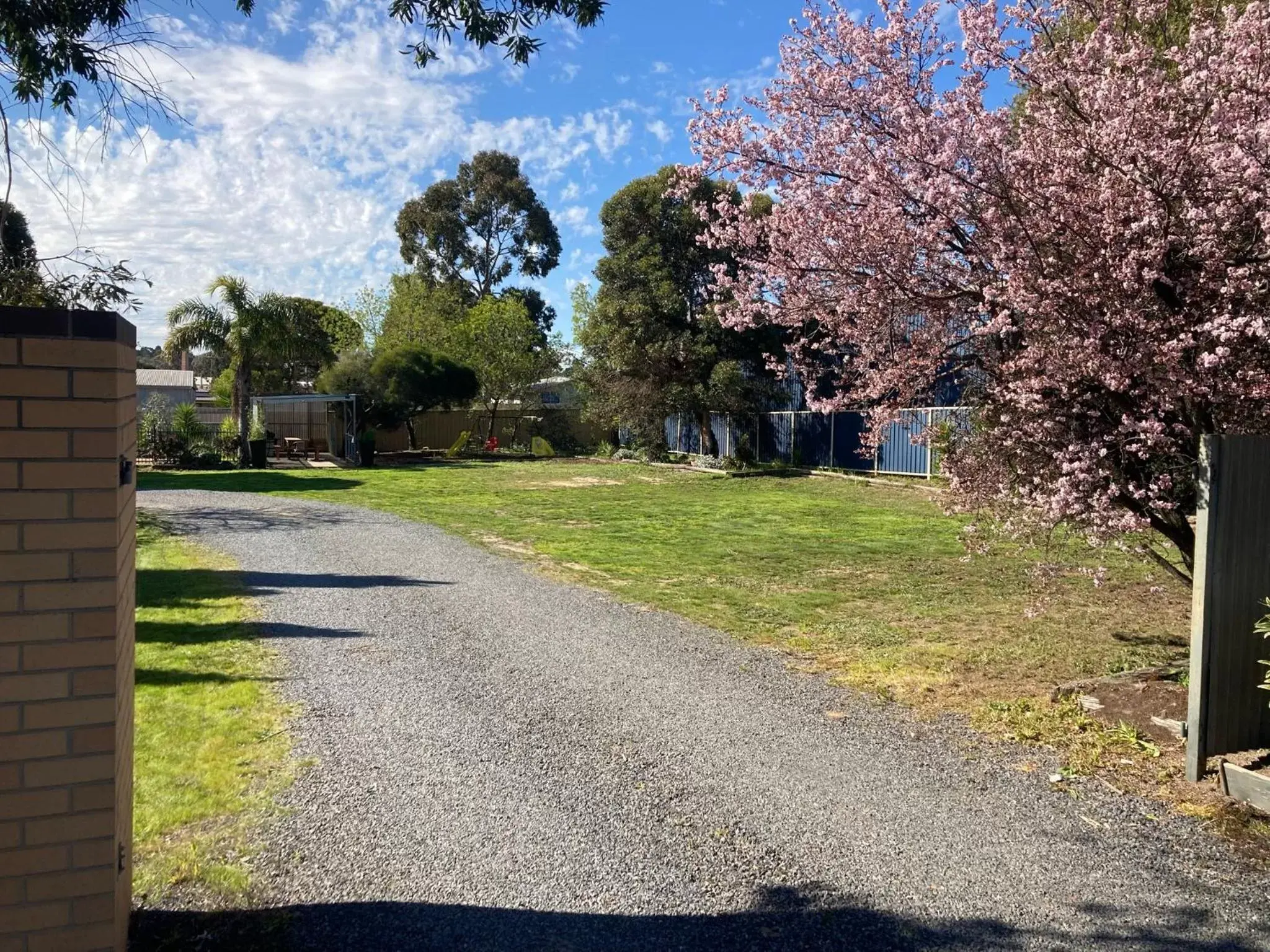 Garden in Motel Stawell