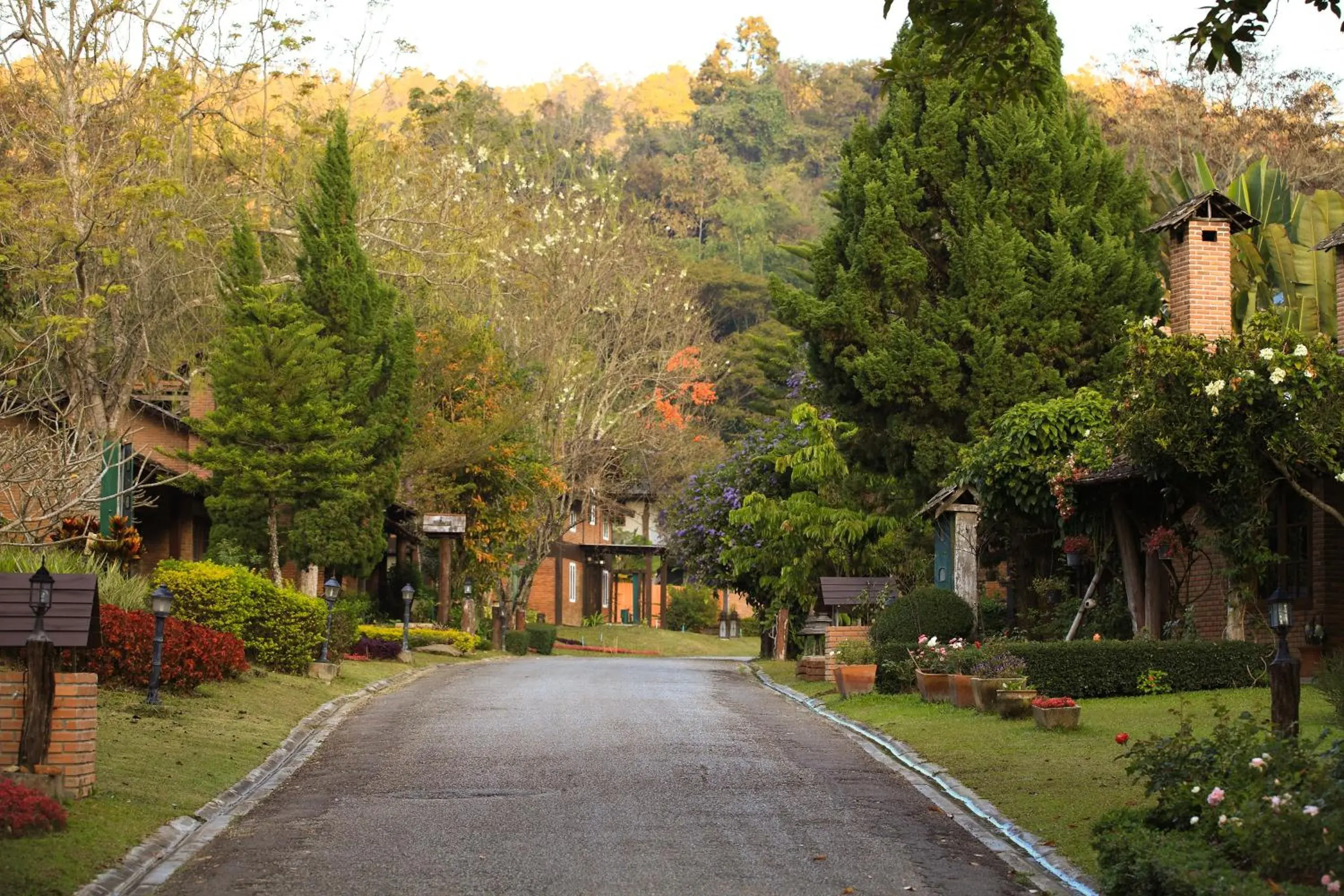 Mountain view in Belle Villa Resort, Chiang Mai