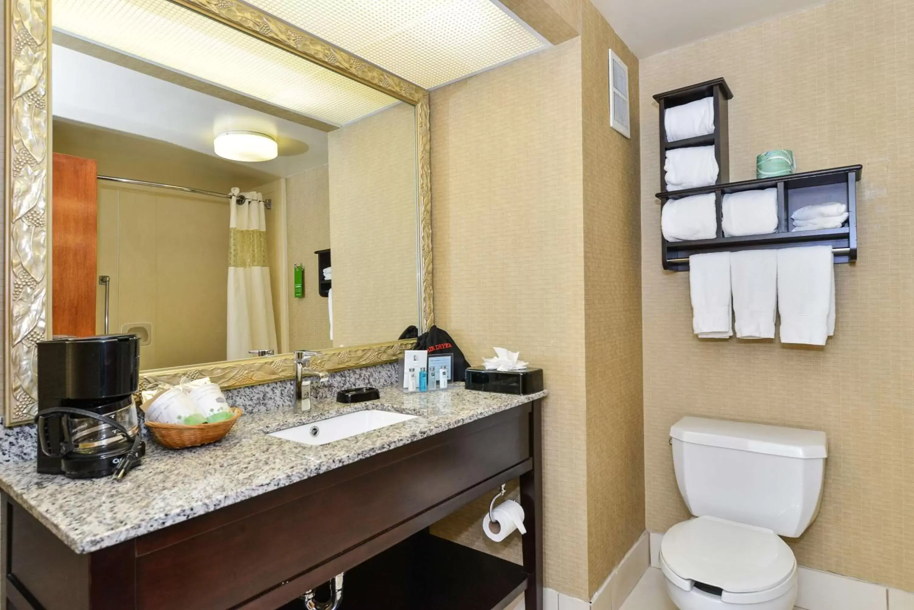 Bathroom in Hampton Inn By Hilton Petersburg-Ft. Lee