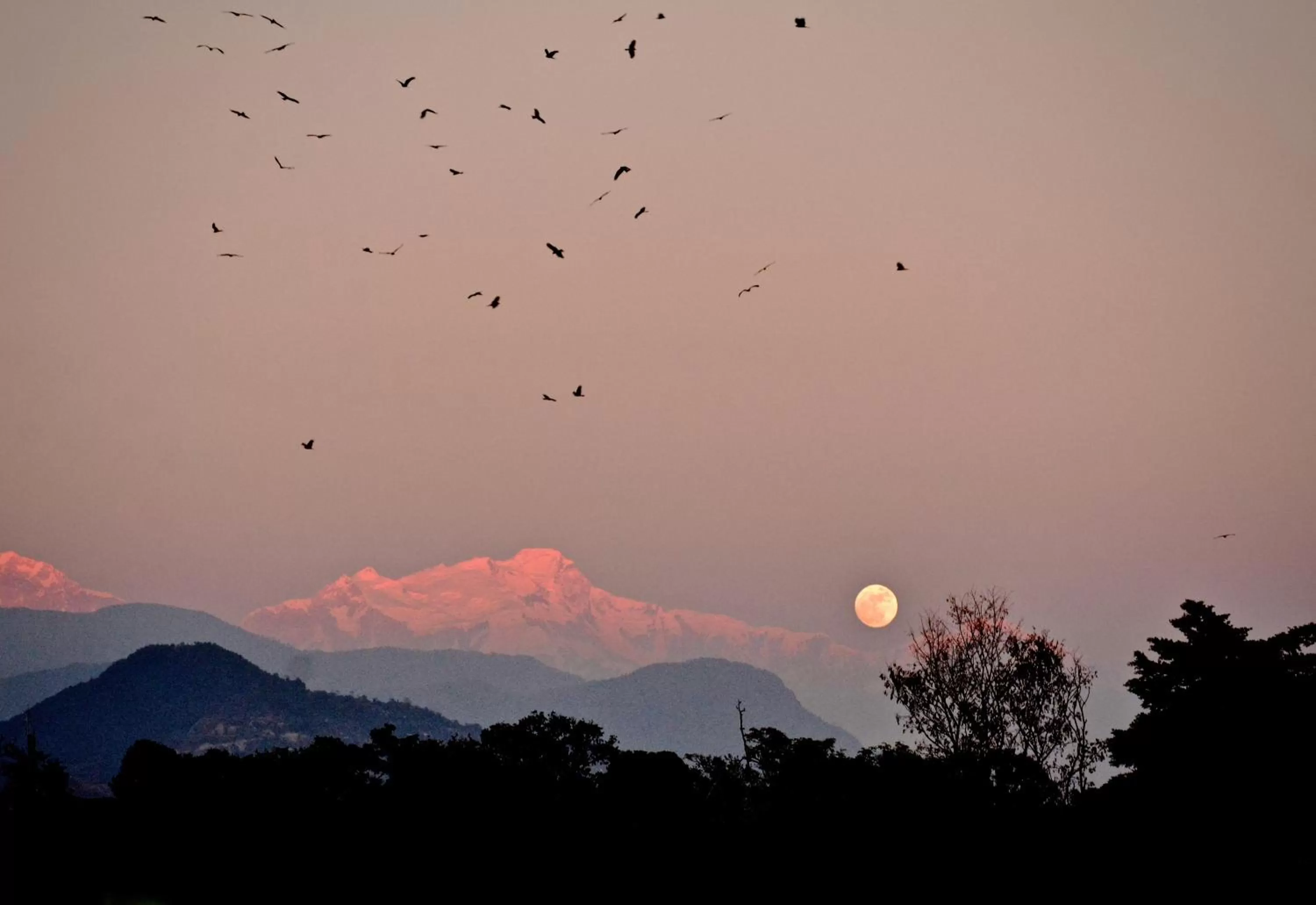 Mountain view in New Annapurna Guest House
