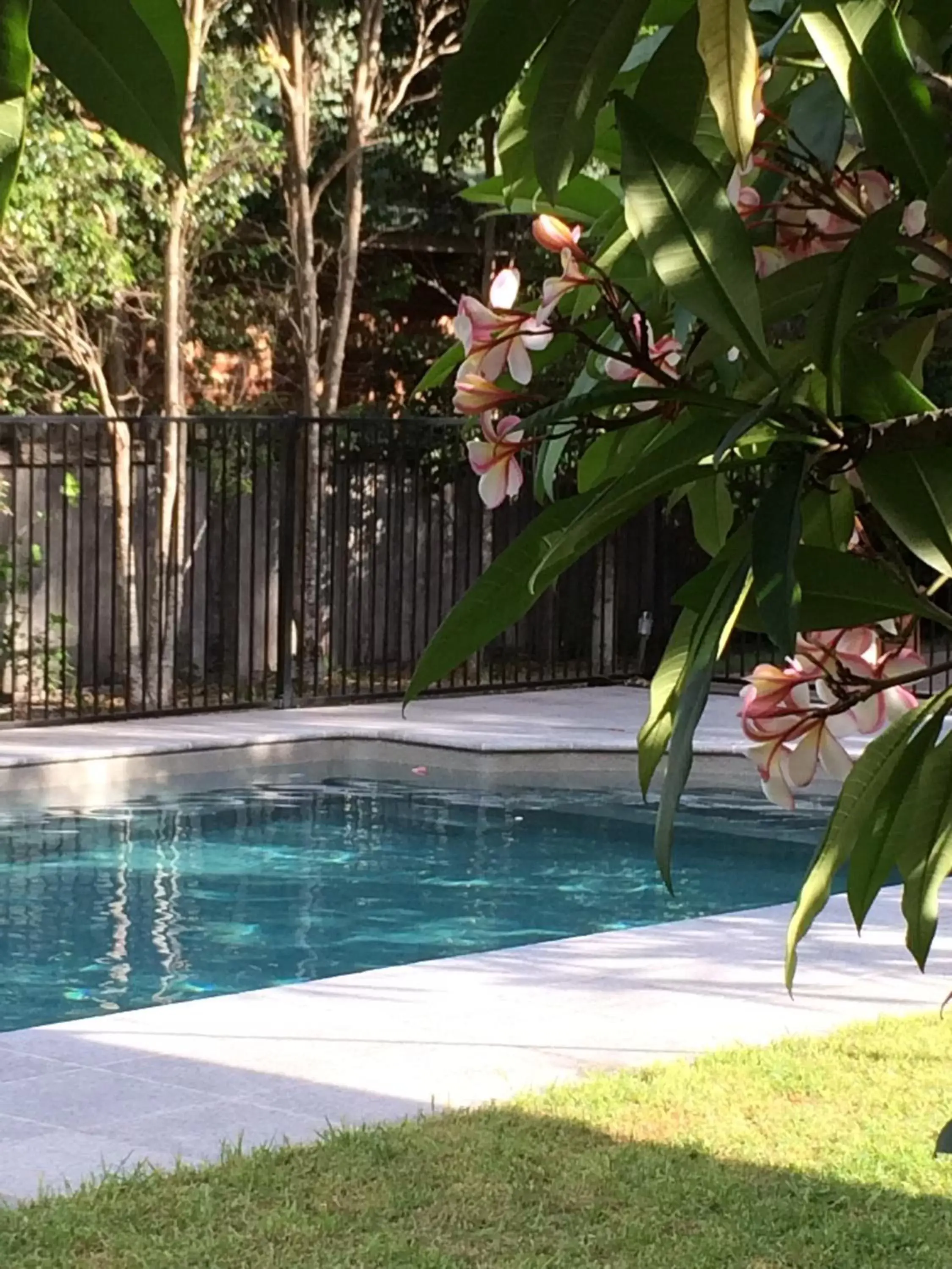 Swimming Pool in The Arabella North Coast