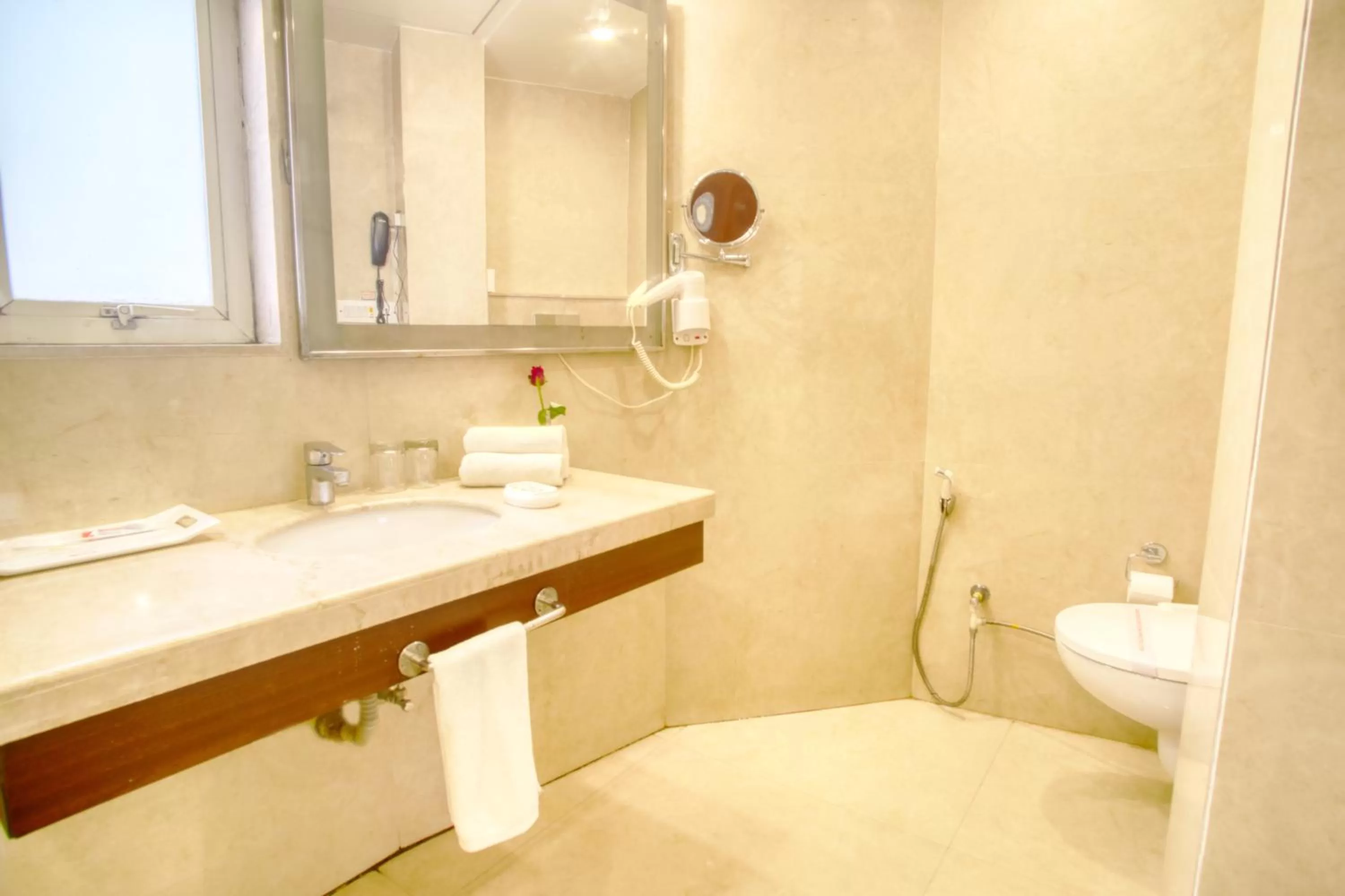 Toilet in The Samilton