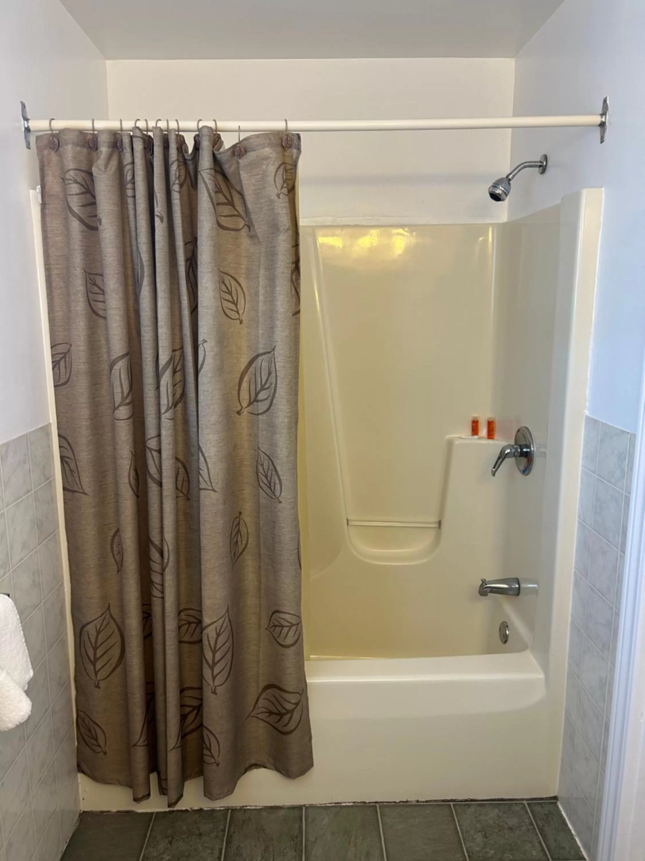 Shower in The Silver Birch Motel