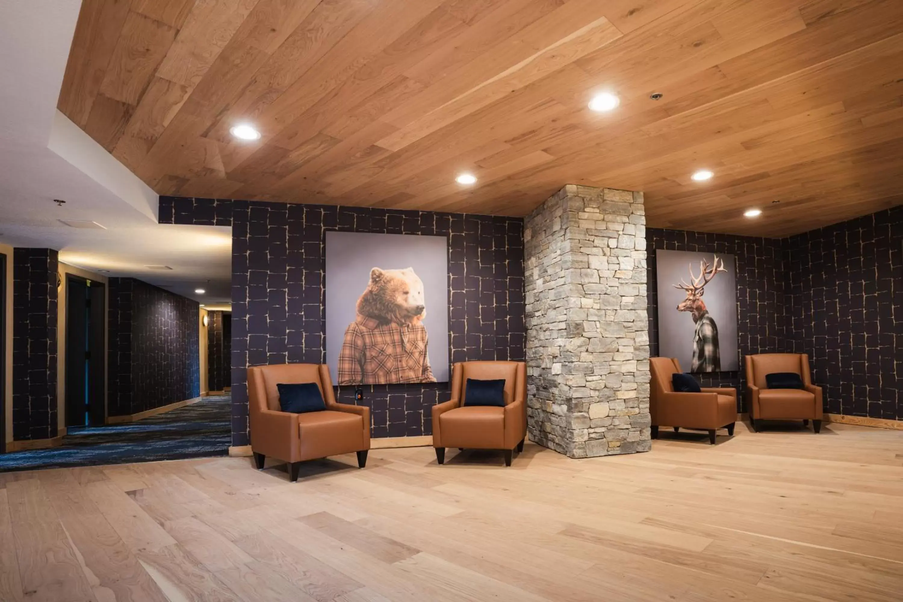 Lobby or reception in MTN House By Basecamp