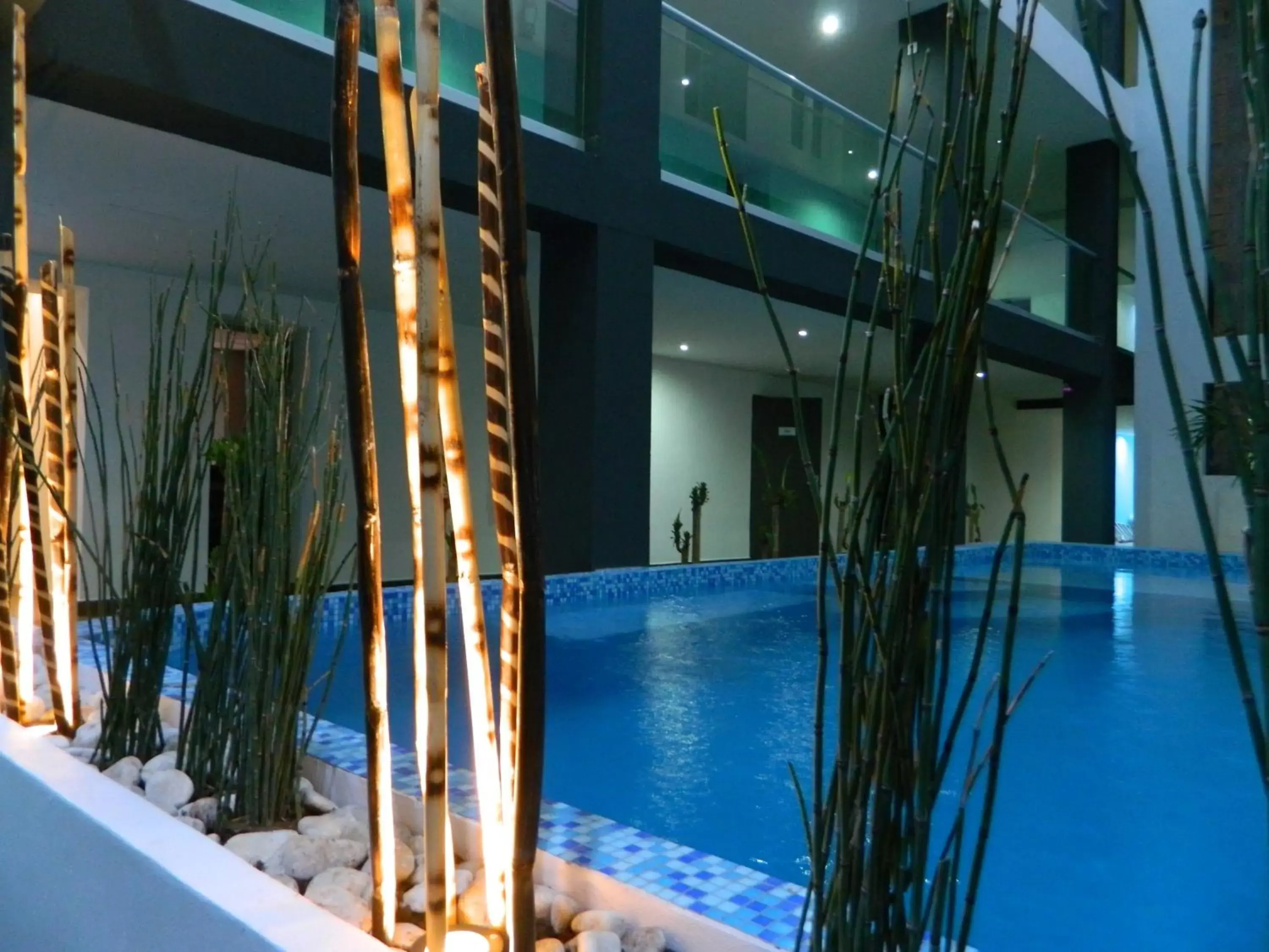 Swimming Pool in Hotel Flamingo Merida