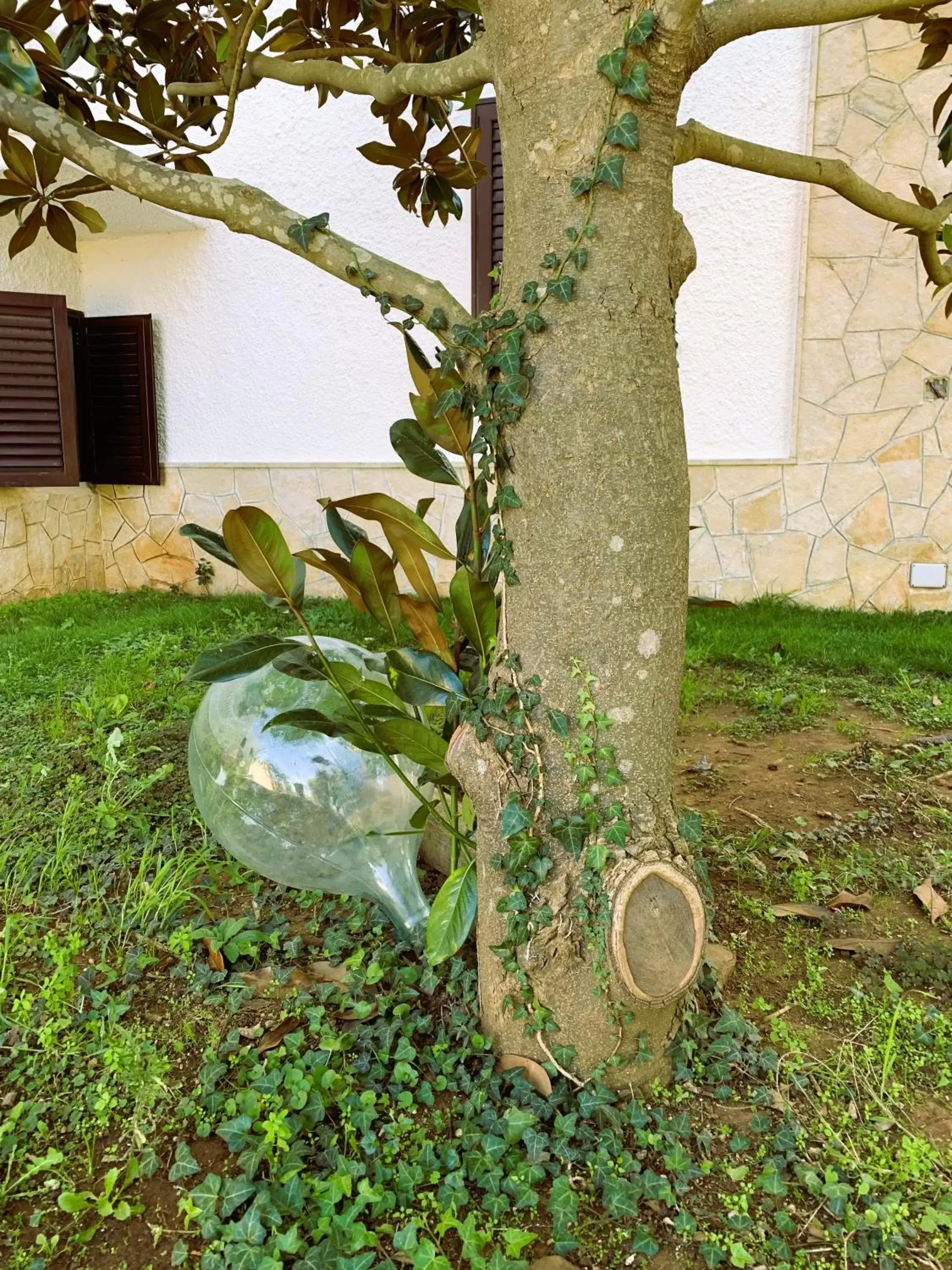 Spring, Garden in B&B Villa Maggi