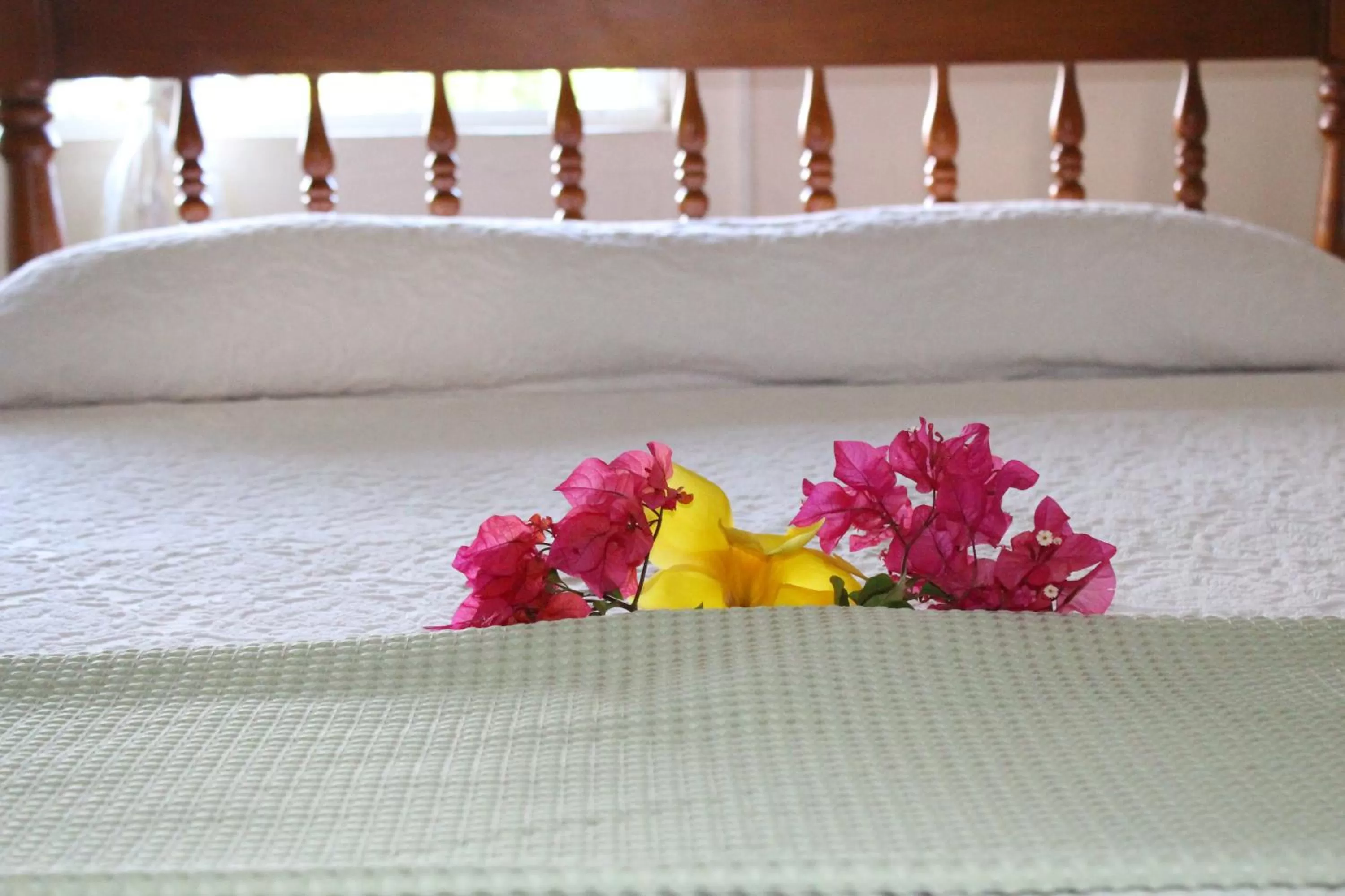 Bed in The Relax Inn