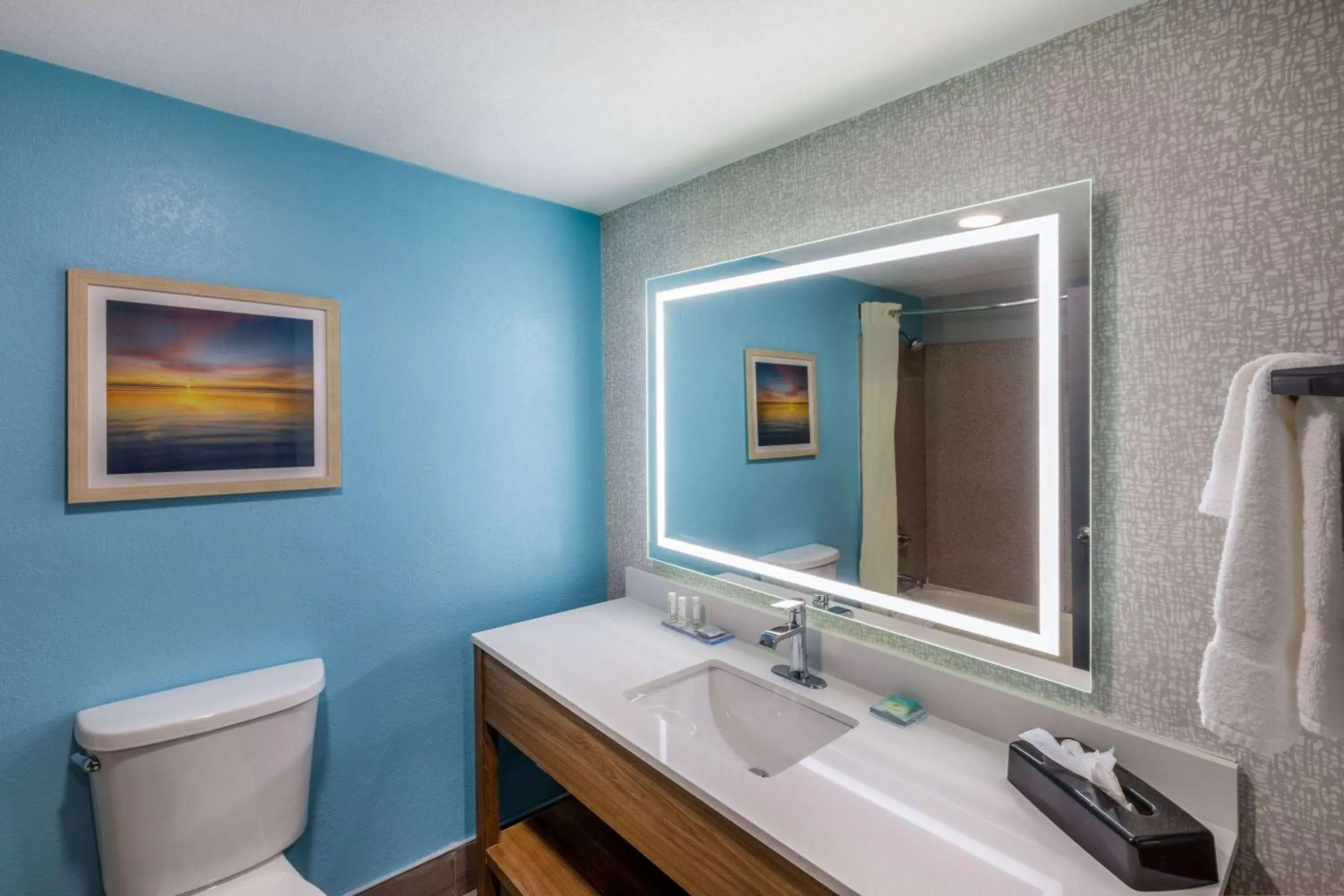 TV and multimedia, Bathroom in La Quinta by Wyndham New Braunfels