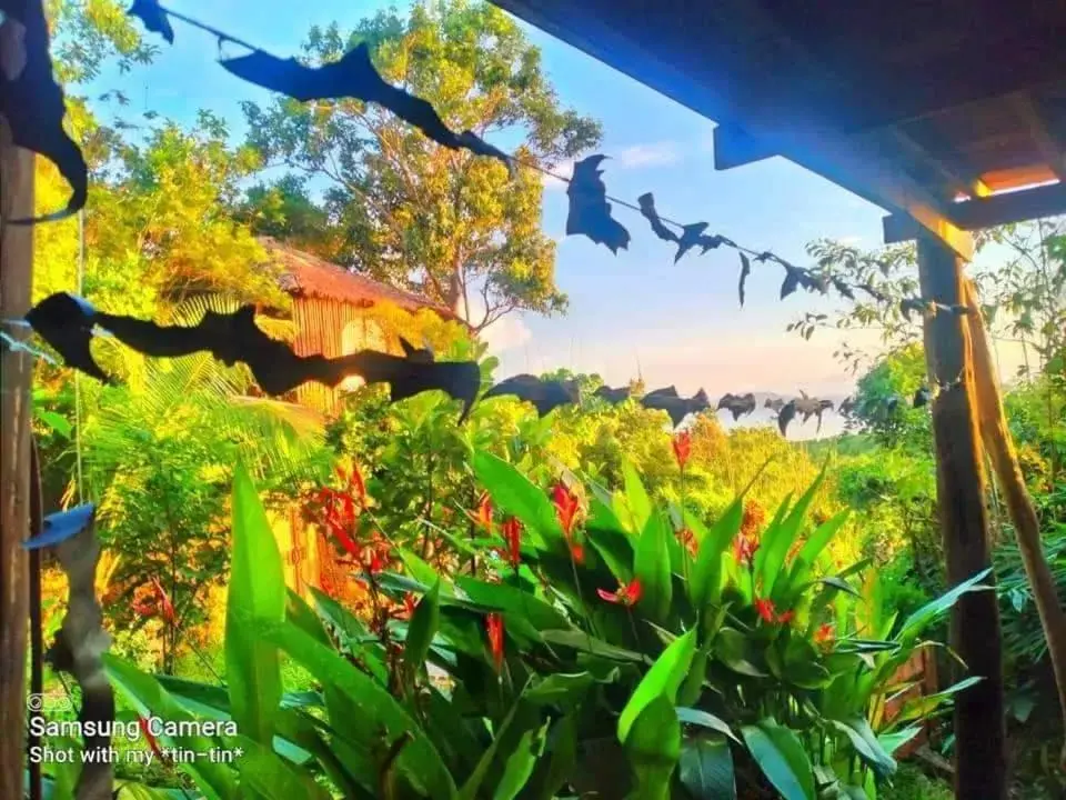 Garden in Sanctuaria Treehouses Busuanga