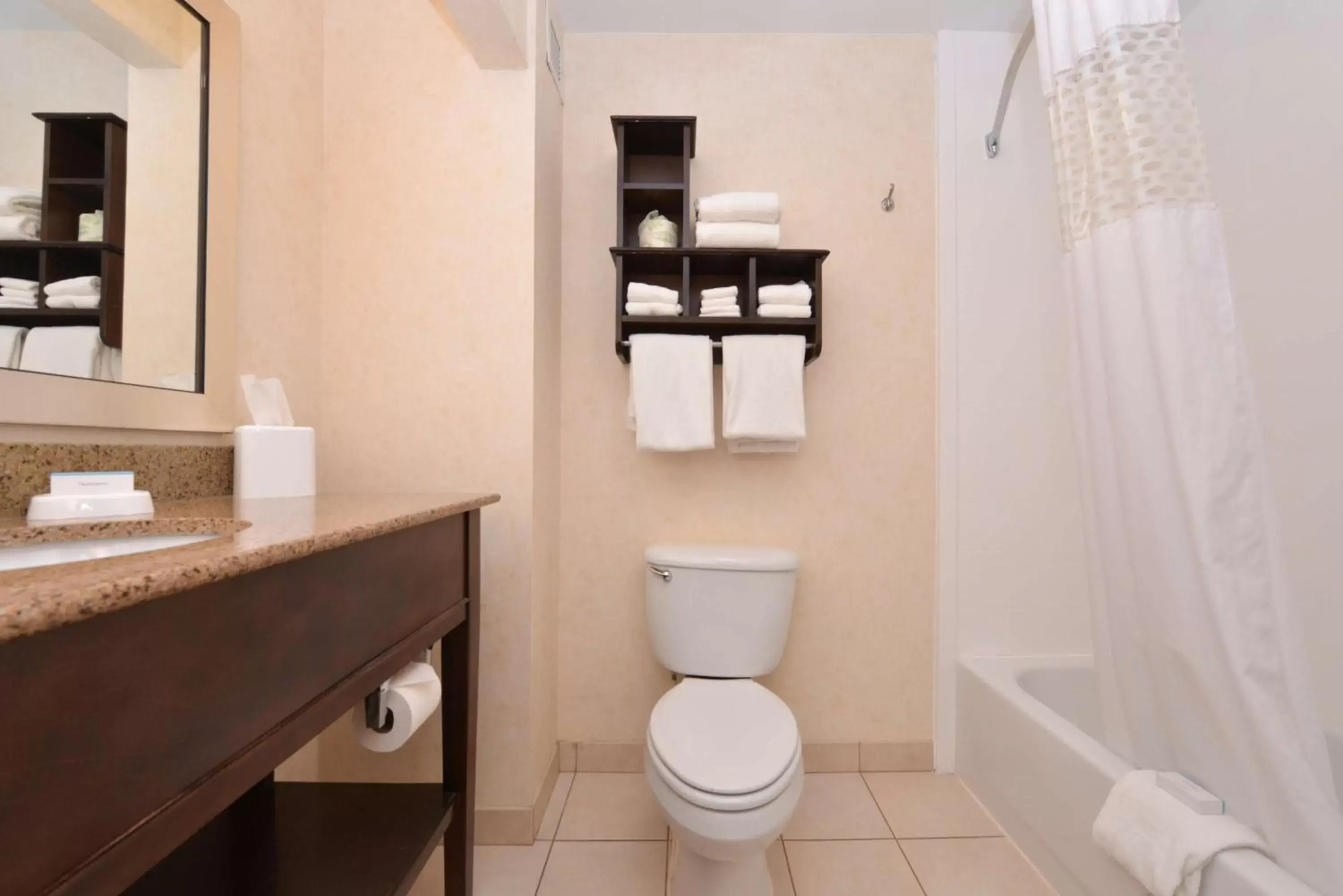 Bathroom in Hampton Inn & Suites Pueblo-Southgate
