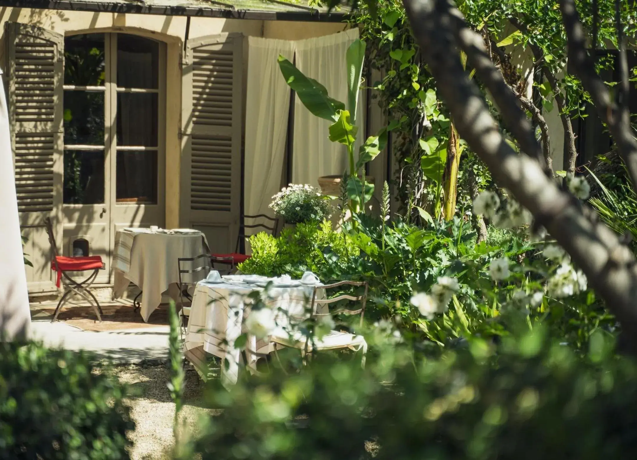 Garden, Restaurant/Places to Eat in Les Jardins de Baracane