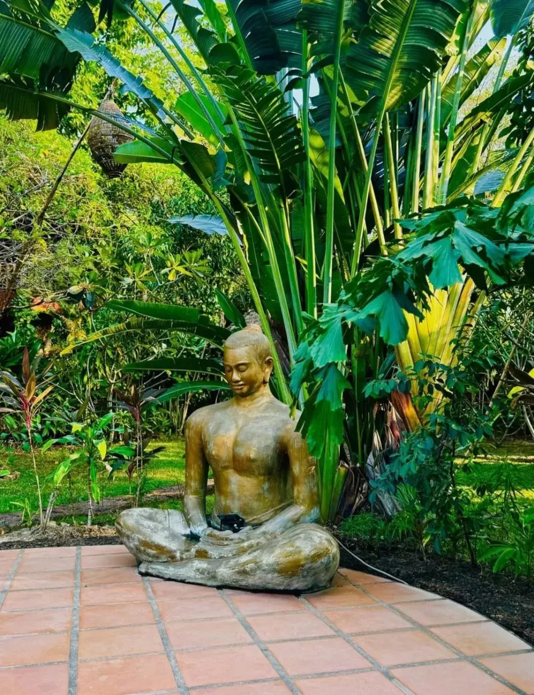 Garden view in TARA LODGE Haven of peace