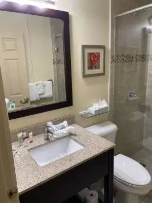 Shower, Bathroom in Ashley Quarters Hotel