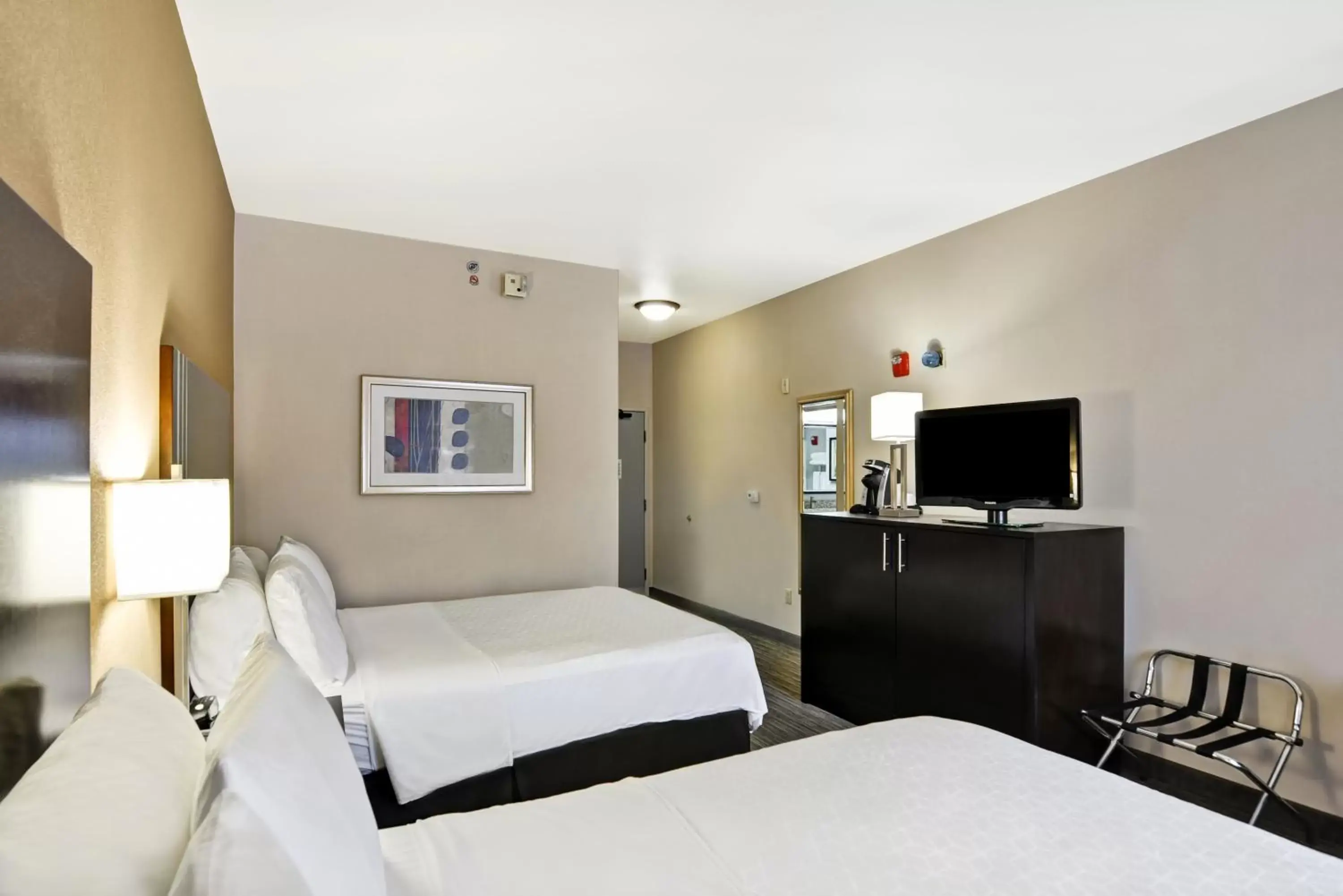 Photo of the whole room, Bed in Holiday Inn Express Hotel & Suites Milwaukee-New Berlin, an IHG Hotel