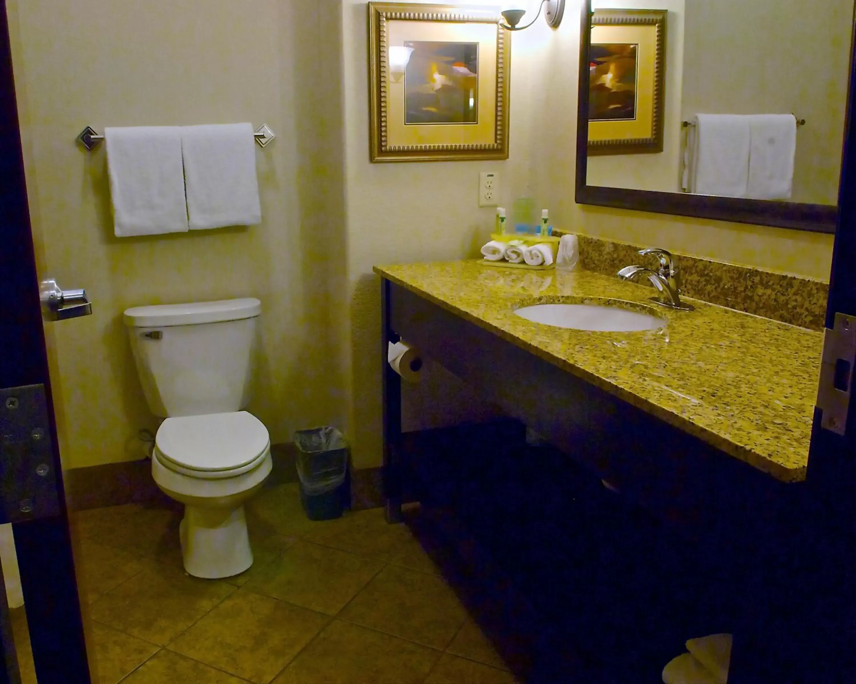 Photo of the whole room, Bathroom in Holiday Inn Express and Suites Heber Springs, an IHG Hotel