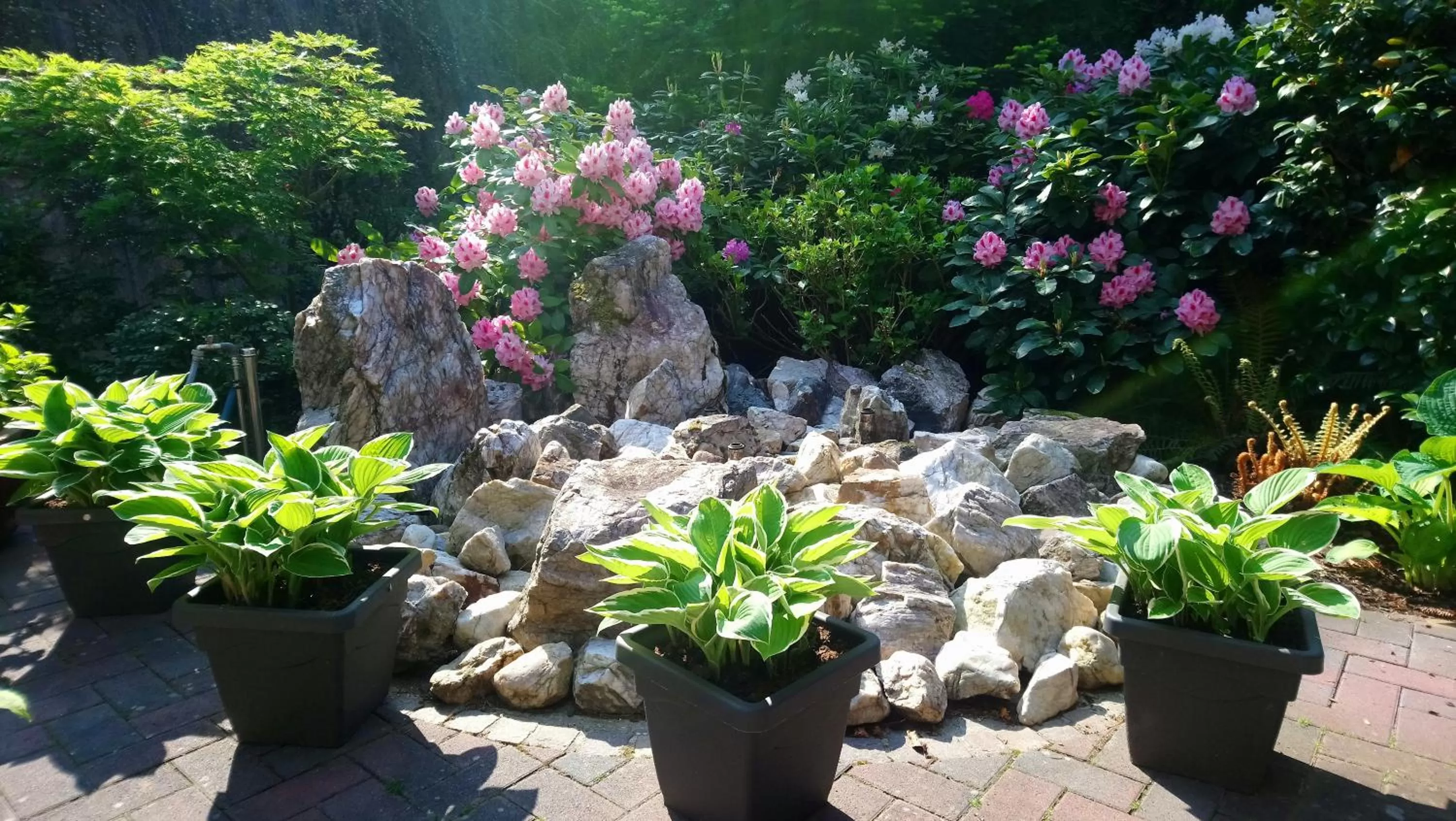 Garden in Käfernberg - Weinhotel