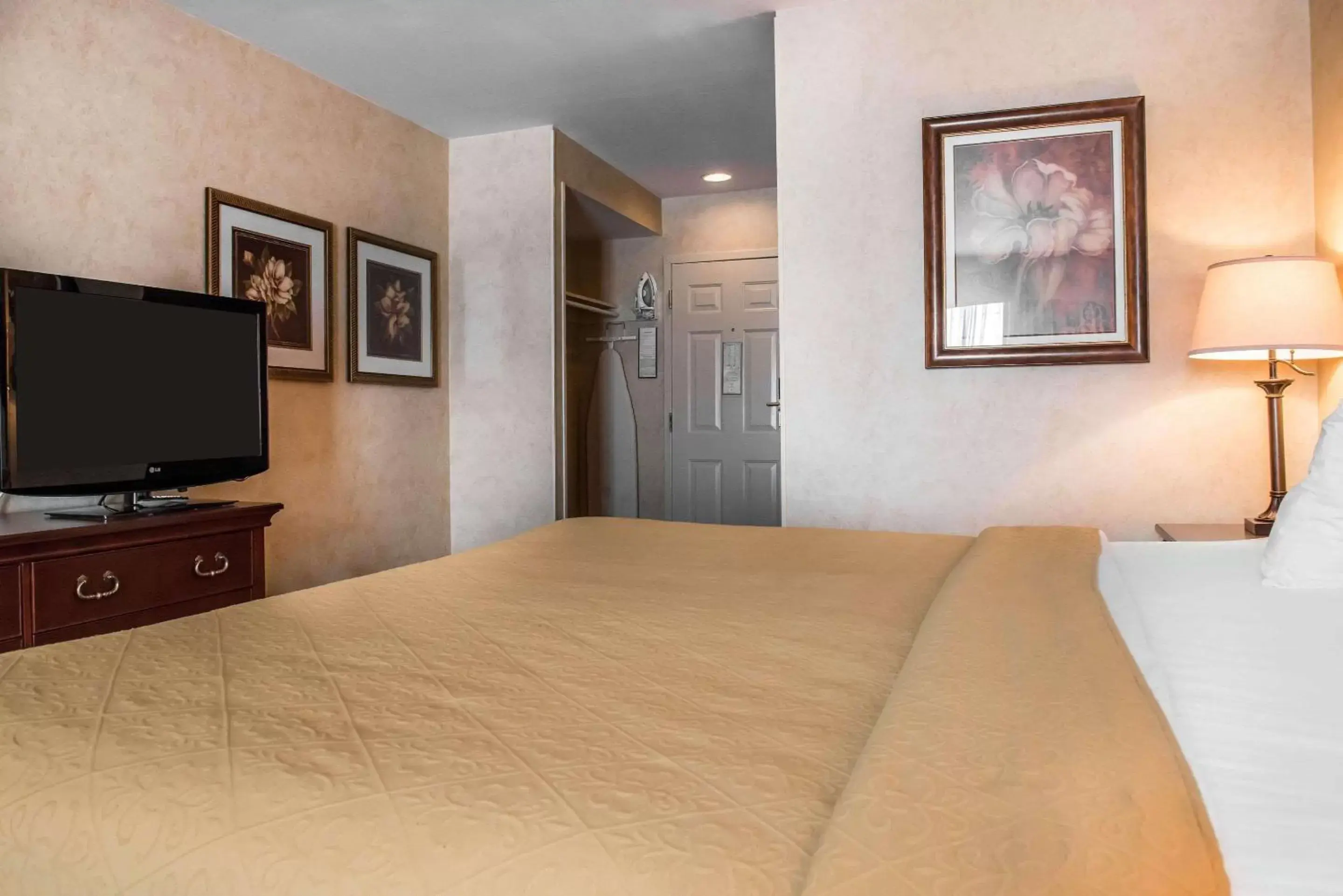 Photo of the whole room, Bed in Quality Inn Pittsburgh Airport