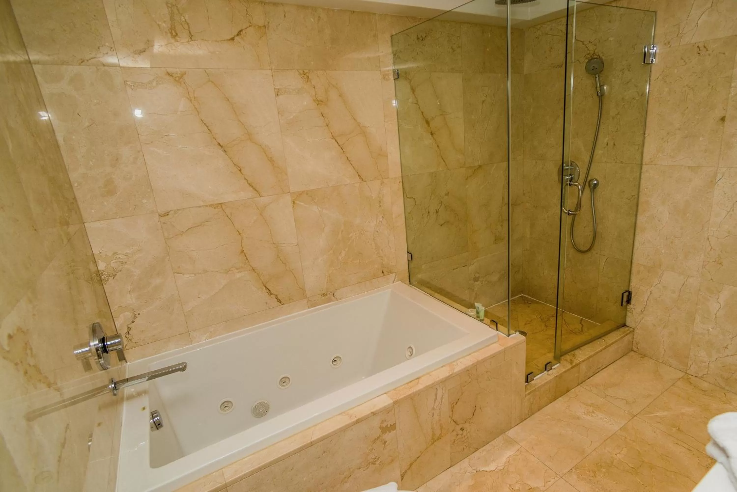 Bathroom in The Alexander Beach Residences