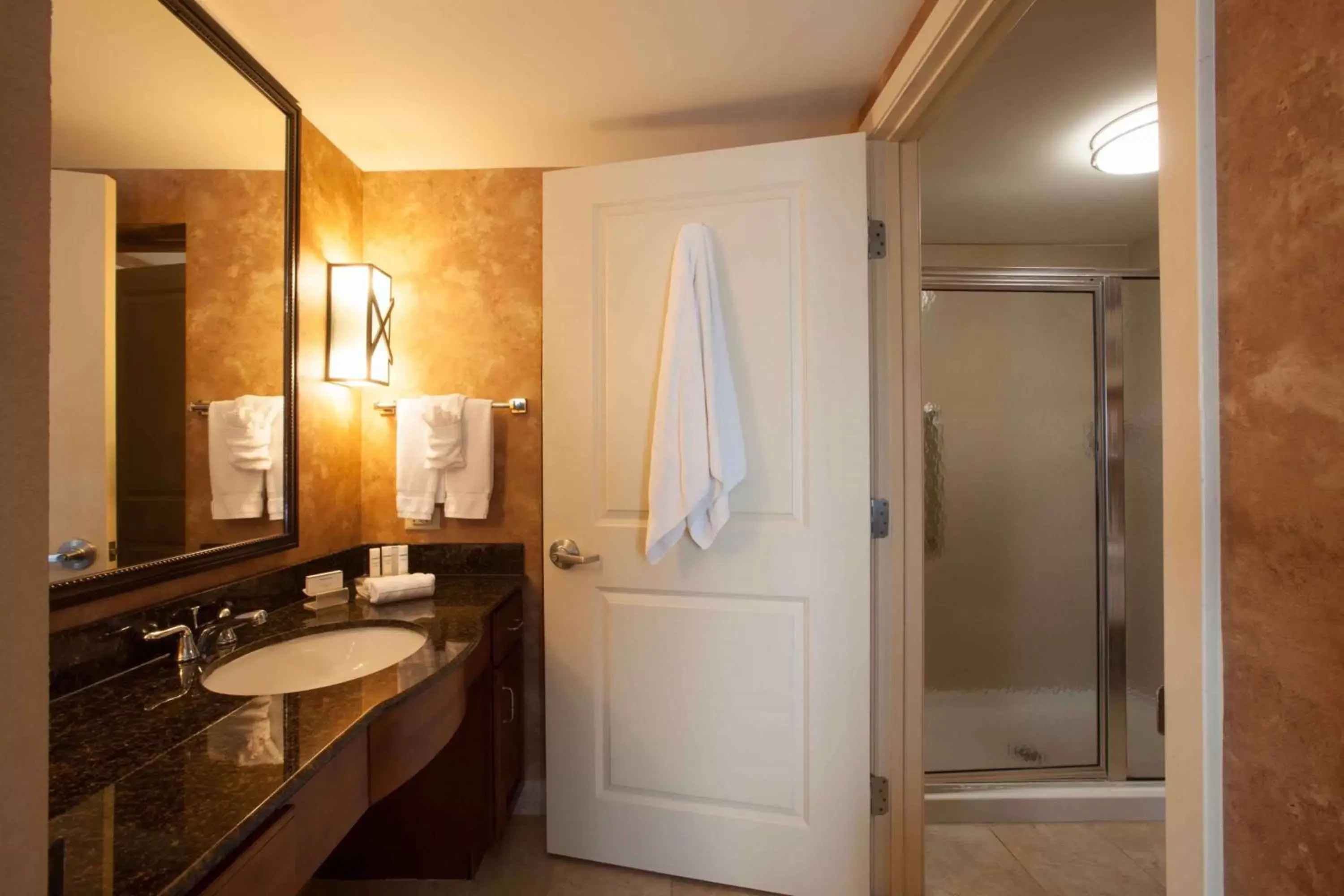 Bathroom in Homewood Suites by Hilton San Antonio North