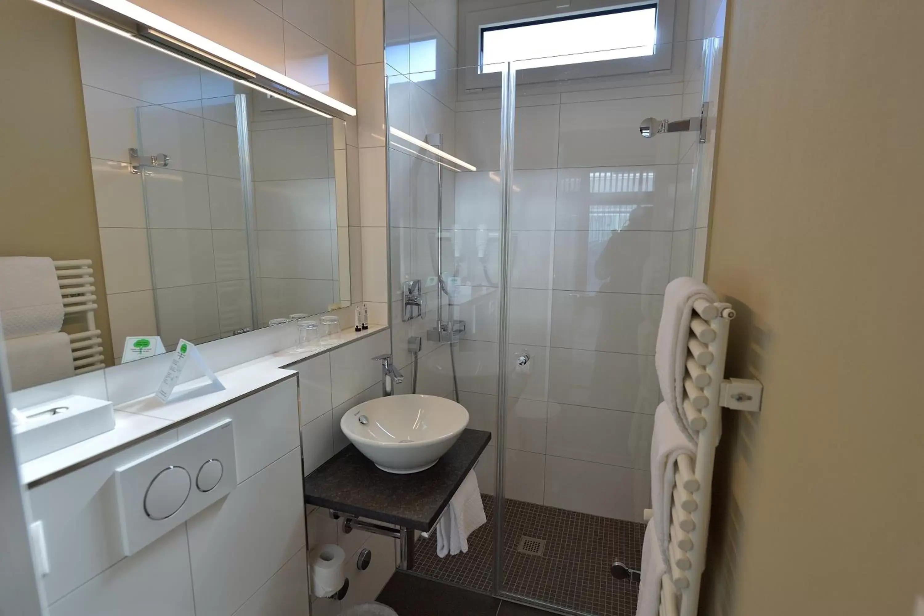 Shower, Bathroom in Hotel Sommerau