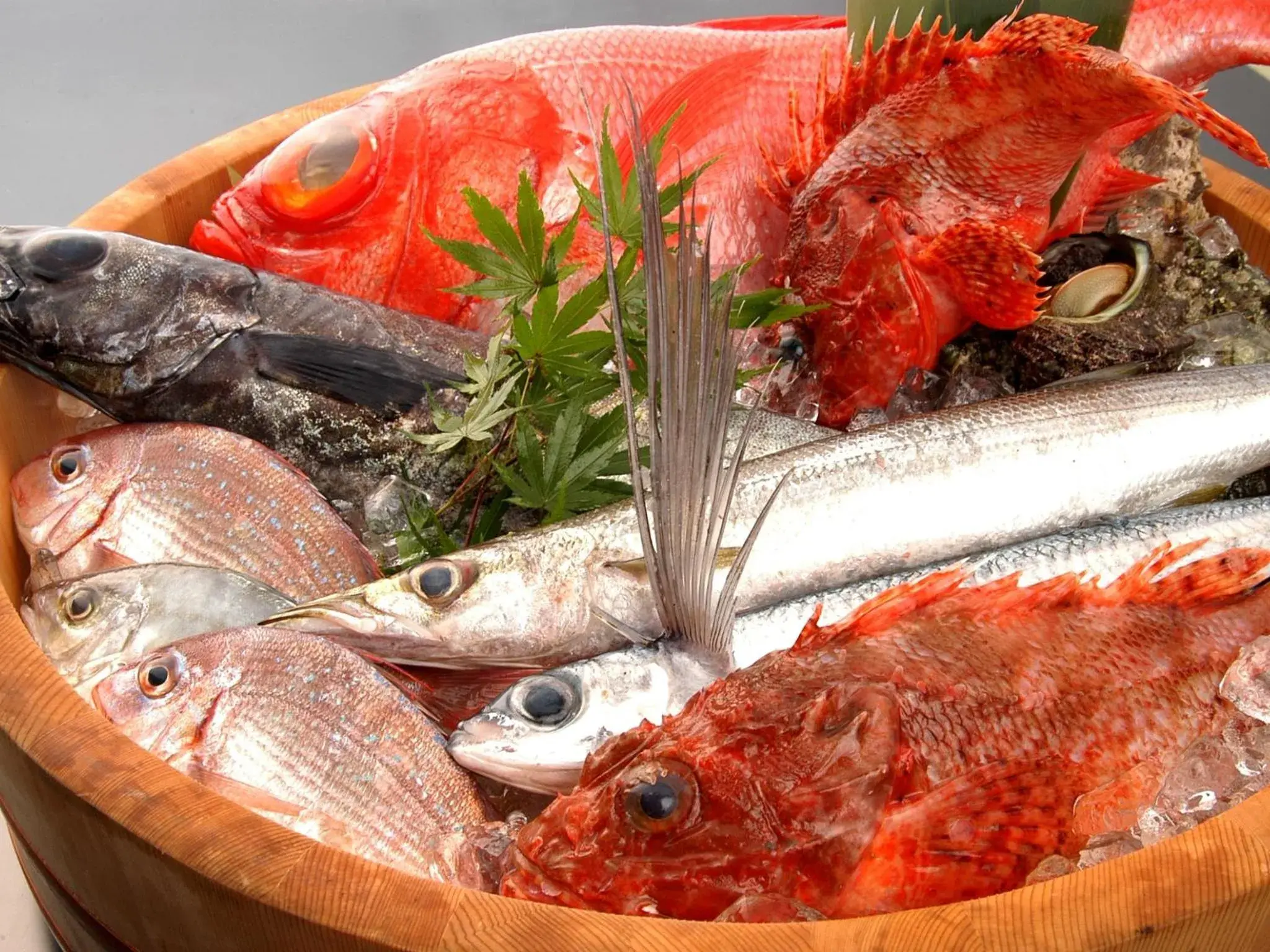 Food close-up in Hotel Resorpia Atami