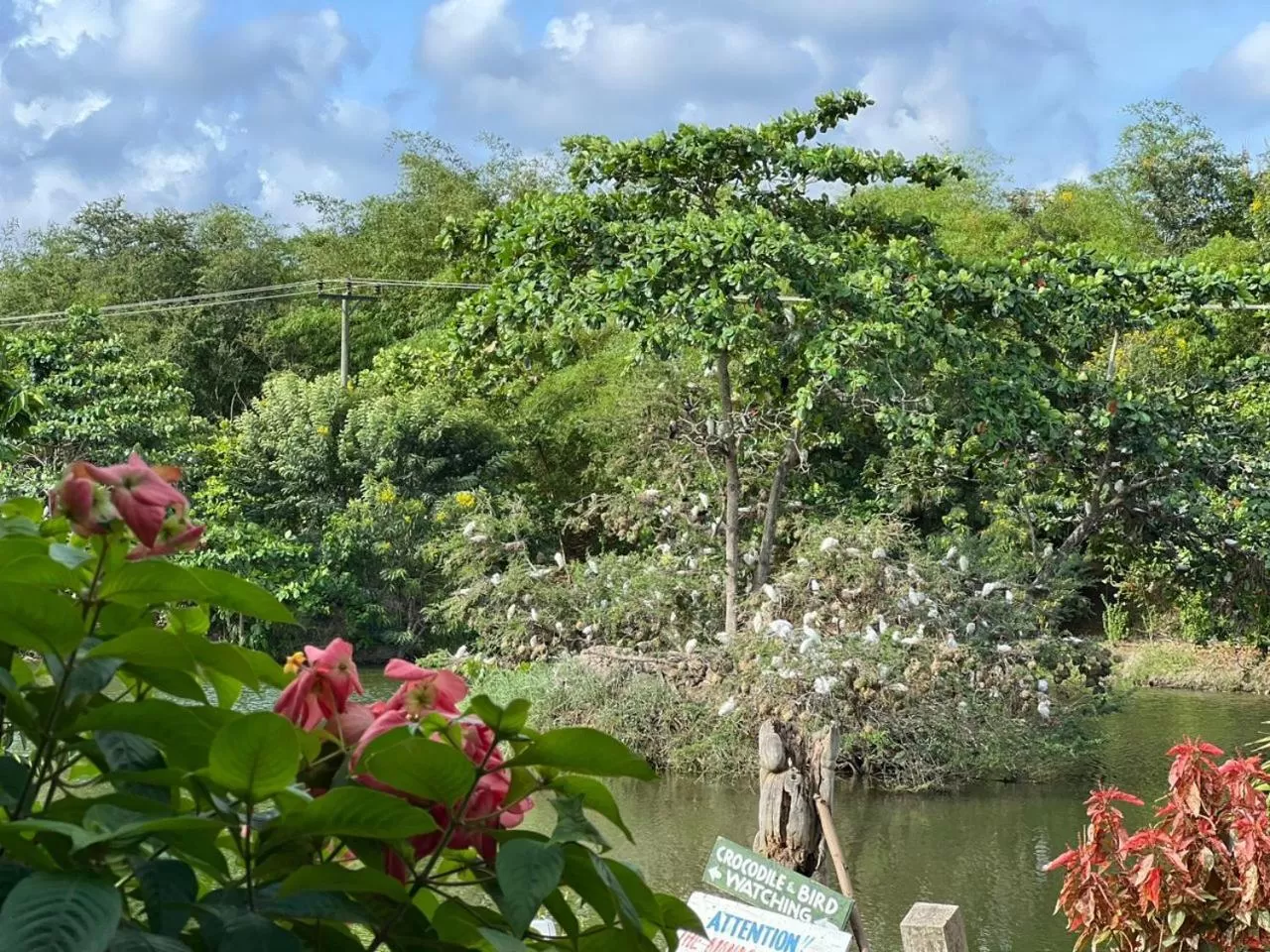 Lake view in Hans Cottage Botel