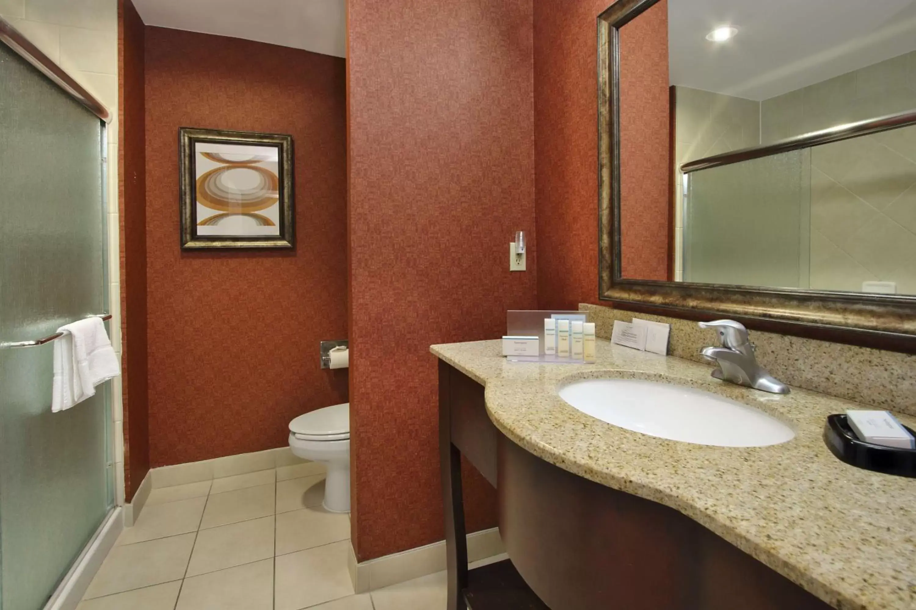 Bathroom in Hampton Inn & Suites Conroe I 45 North