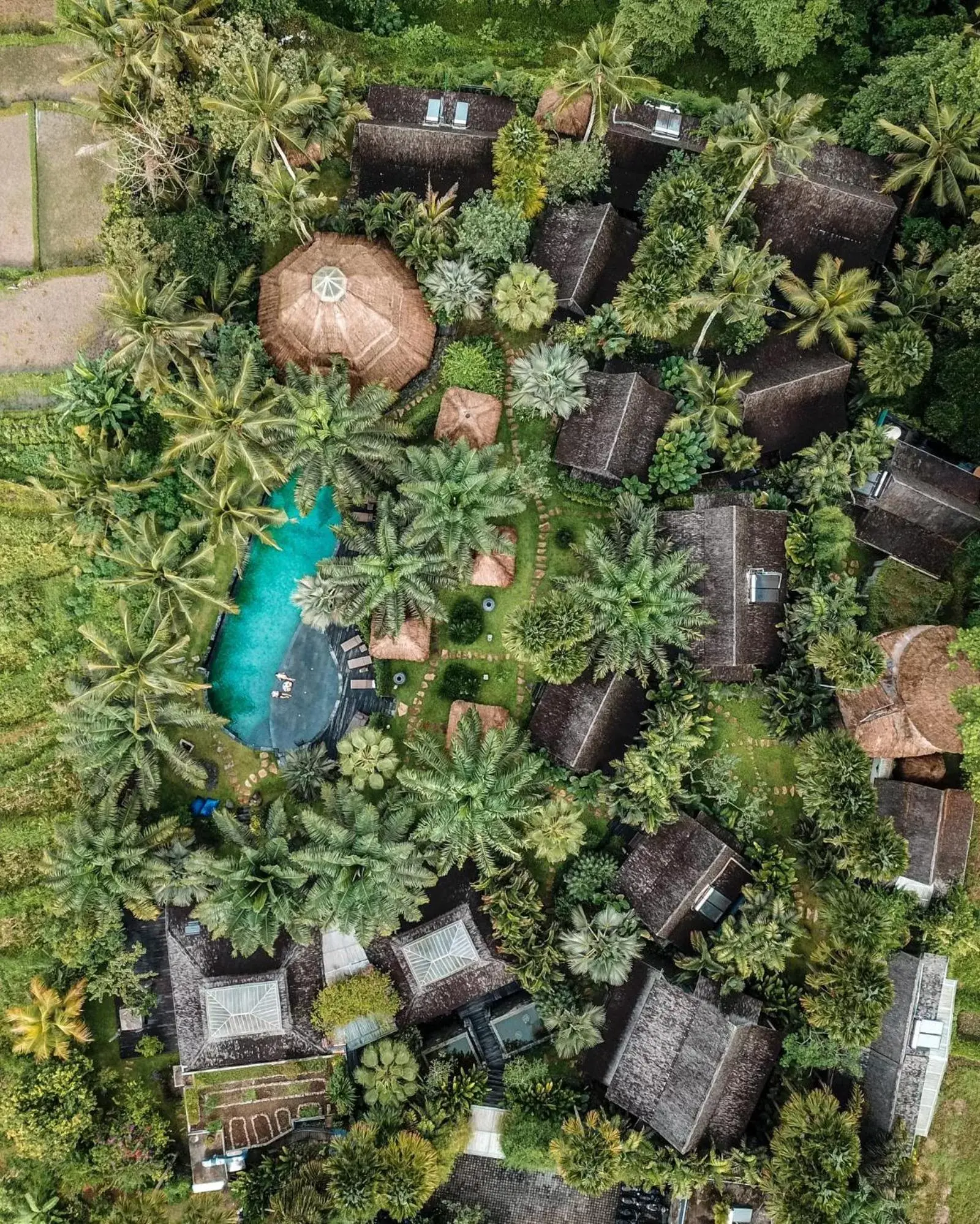 View (from property/room), Bird's-eye View in Blue Karma Dijiwa Ubud