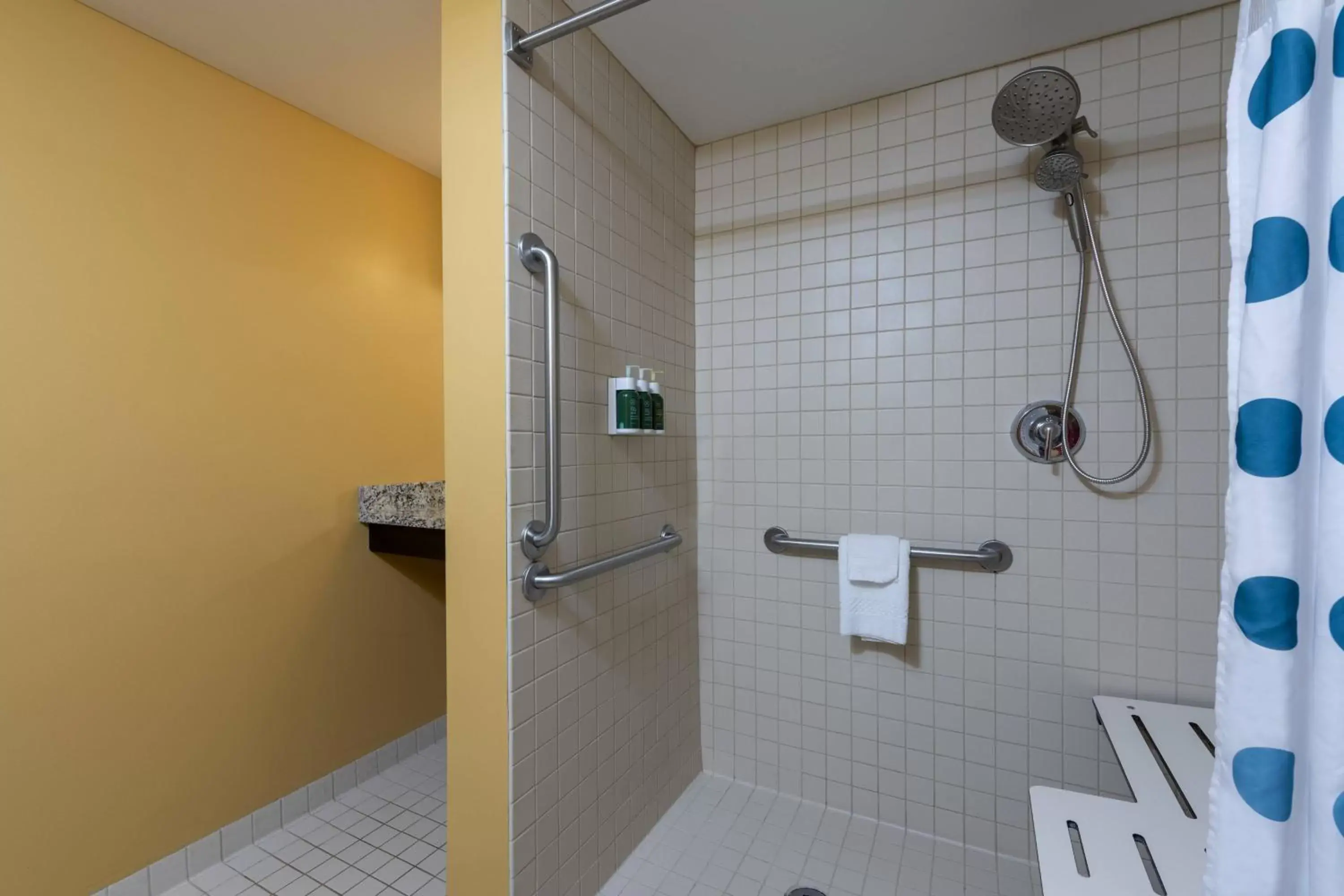 Bathroom in TownePlace Suites by Marriott East Lansing